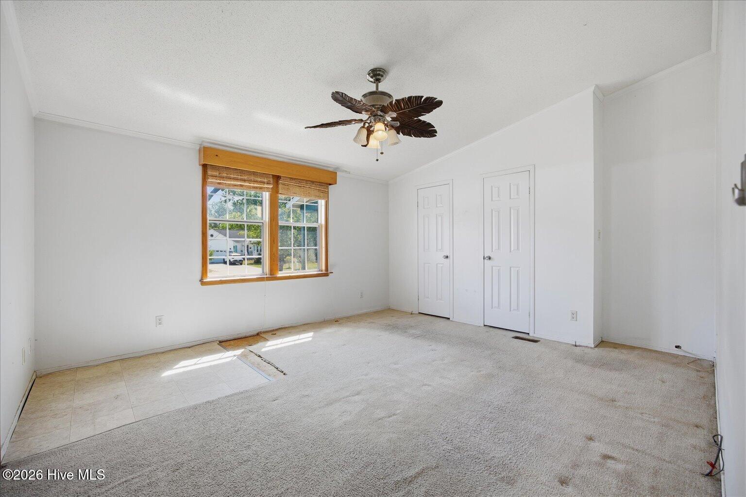 100569613 | Photo 16