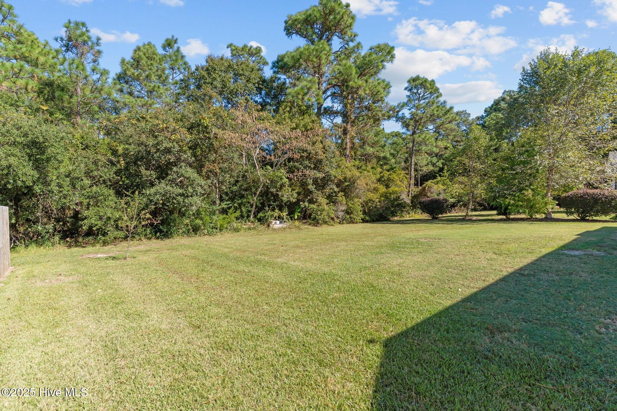 100537665 | Photo 42