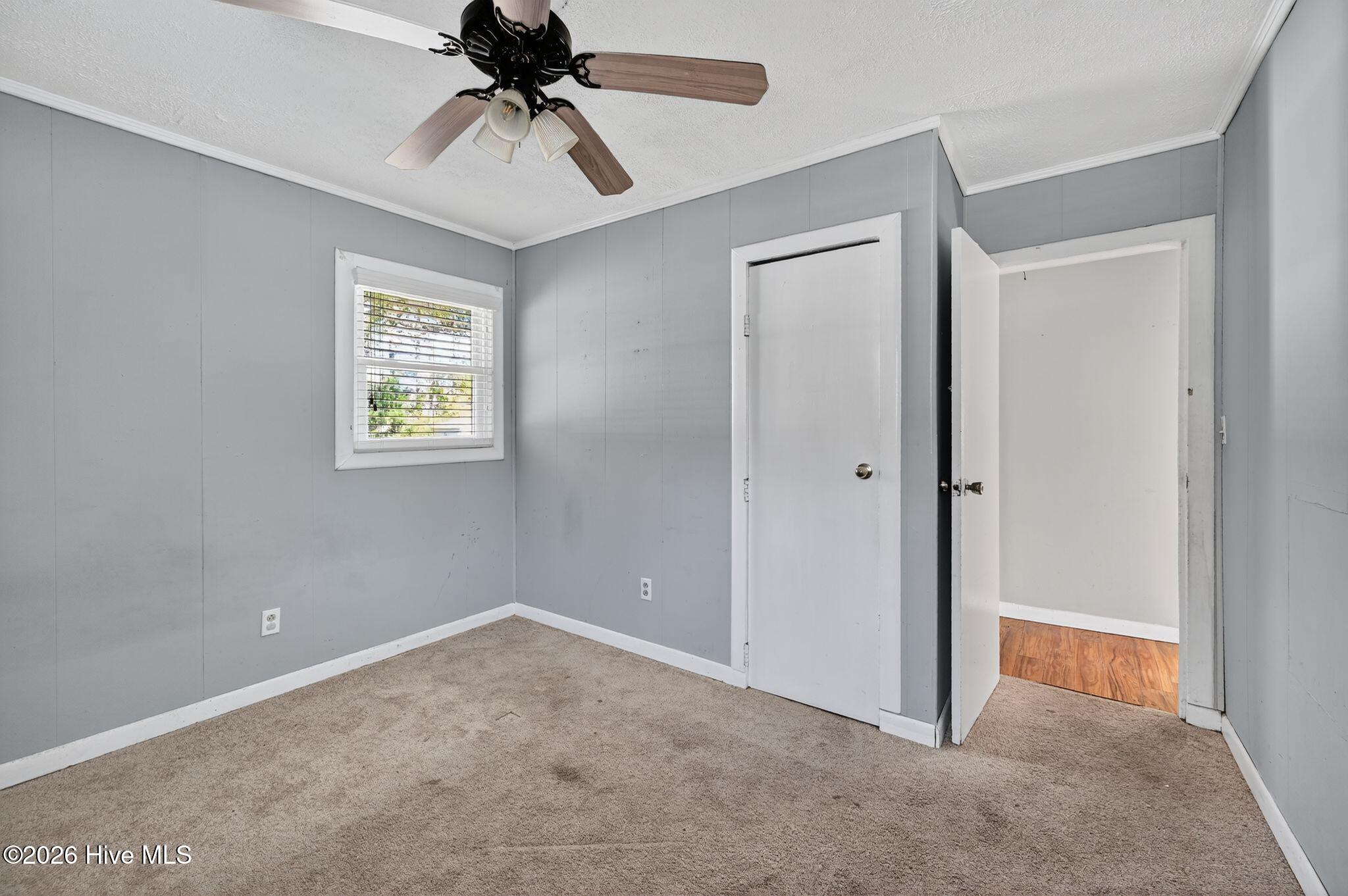 100553943 | Photo 26