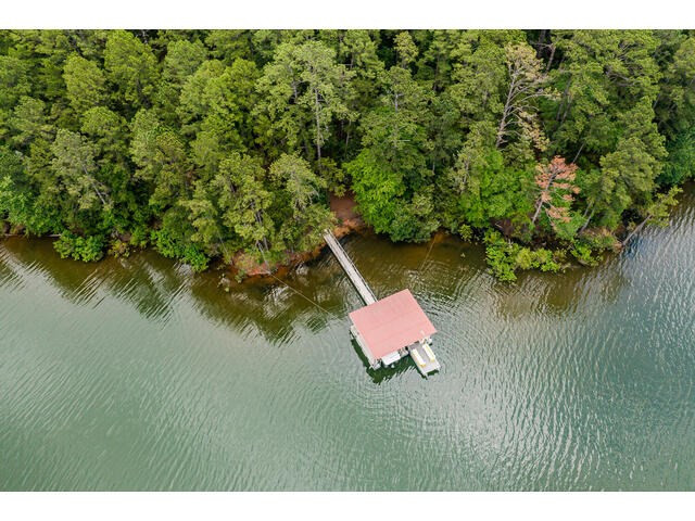 6198 Rousseau Creek Road, Thomson, GA 30824 Listing Photo  72