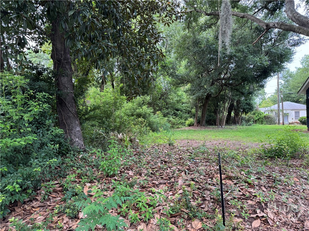 Photo 3 of Land for sale at 503 Durant Ave, Savannah, GA 31404 | MLS# SA361133 | Listing updated on 2026-09-18