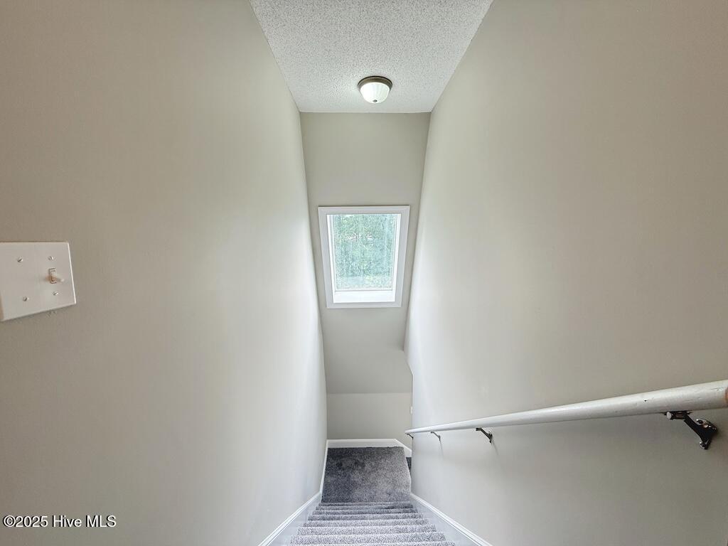 100519170 | Photo 31