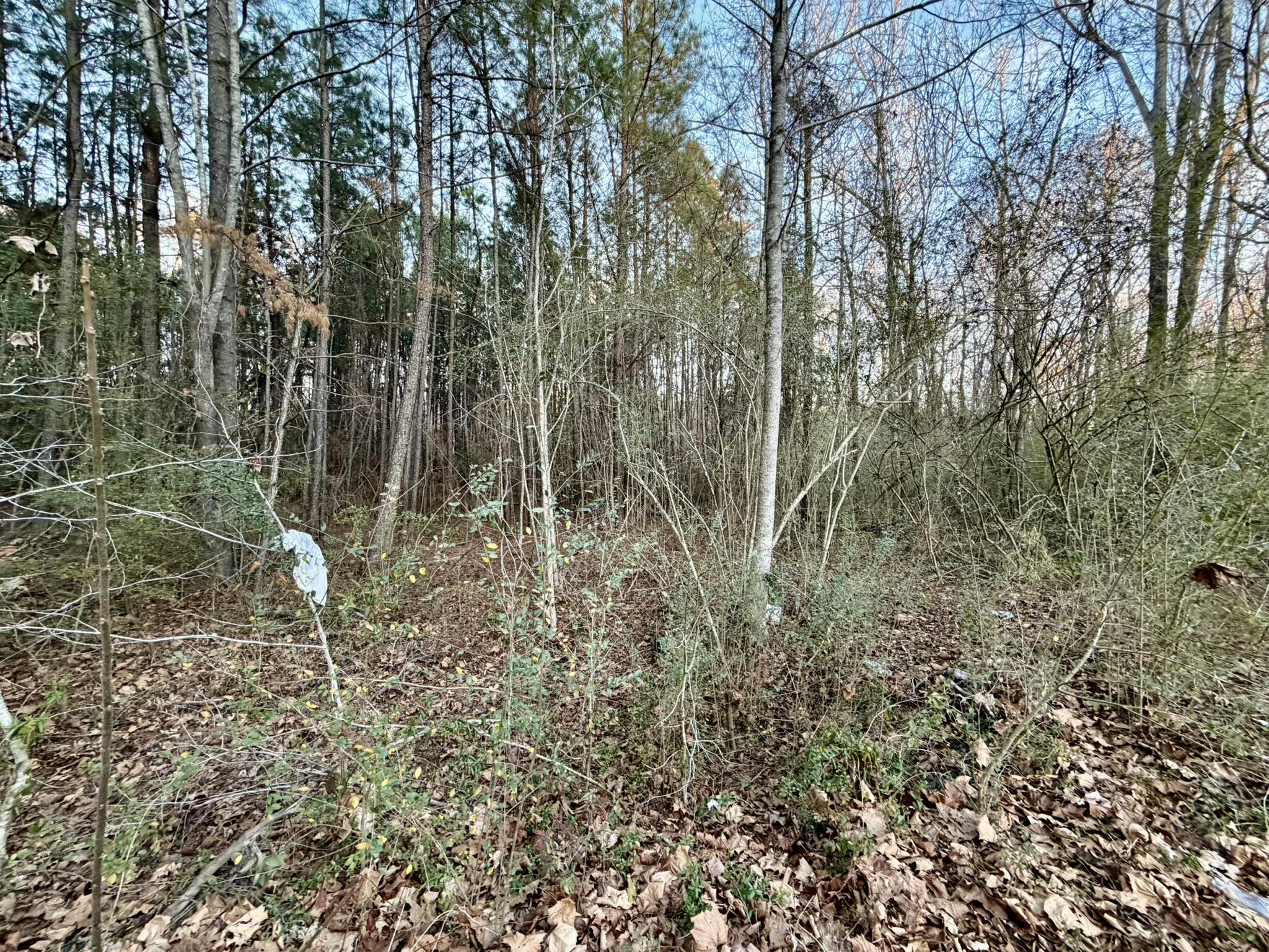 3619,3627, SE Bethany Court, Dearing, GA, 30808