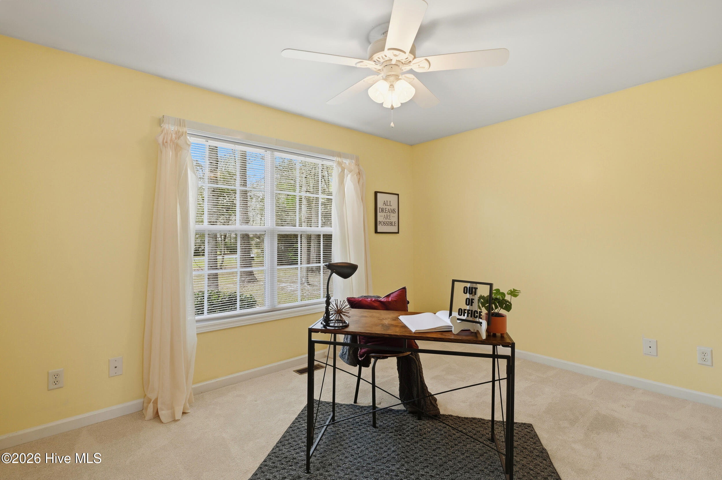 100562256 | Photo 26