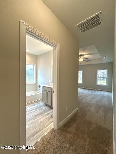 100562503 | Photo 16