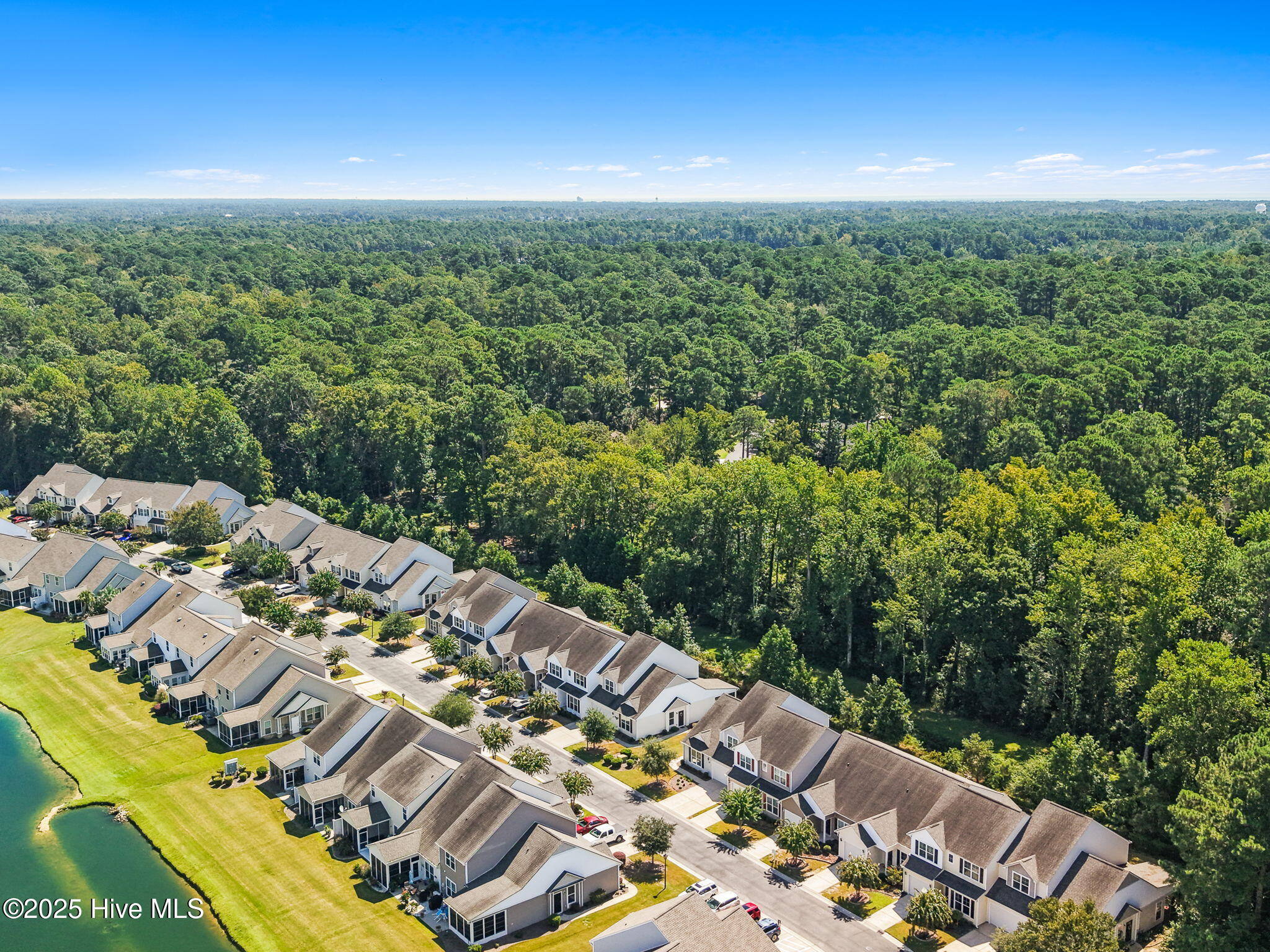 100529406 | Photo 58