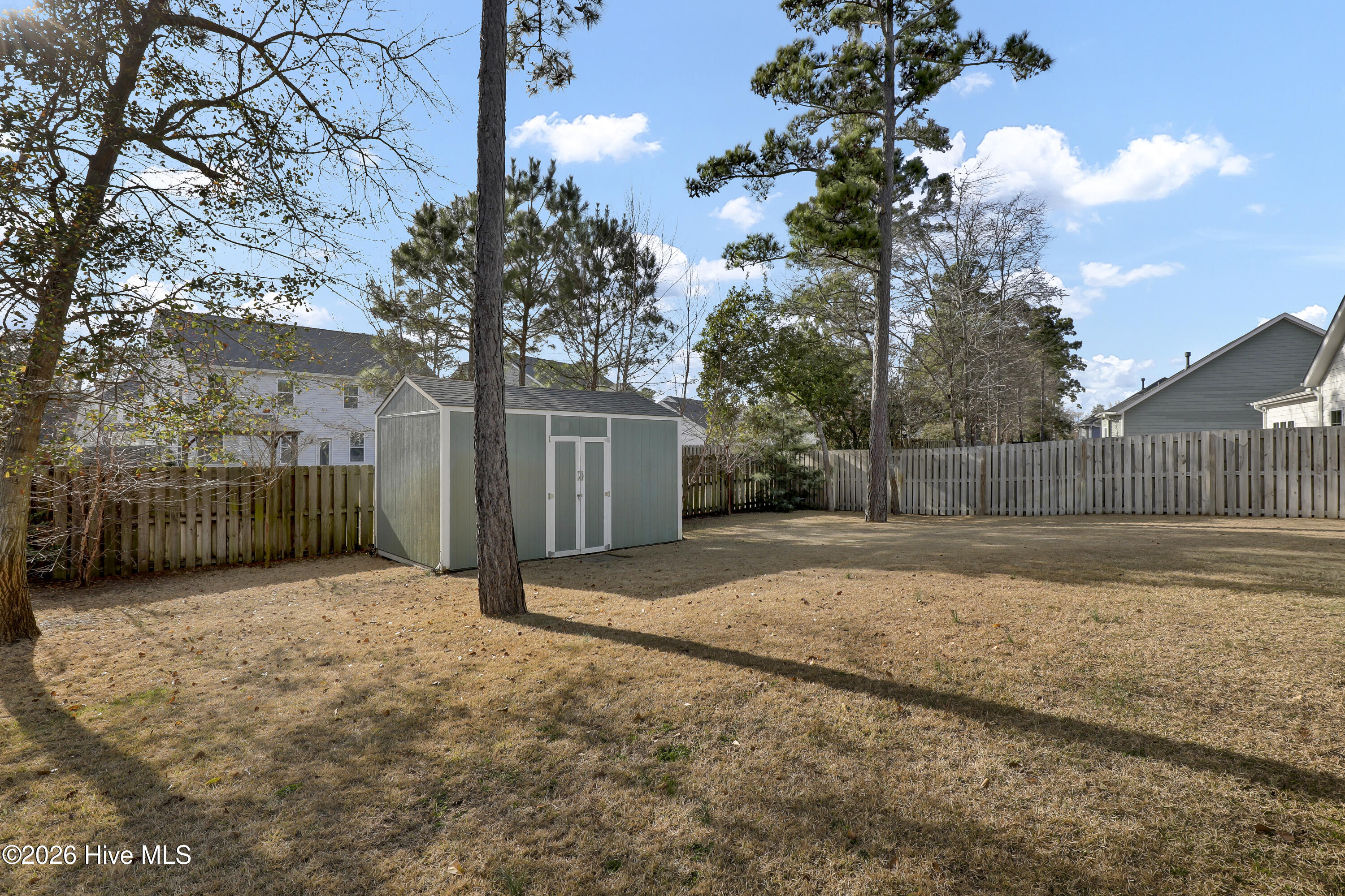 100558429 | Photo 22