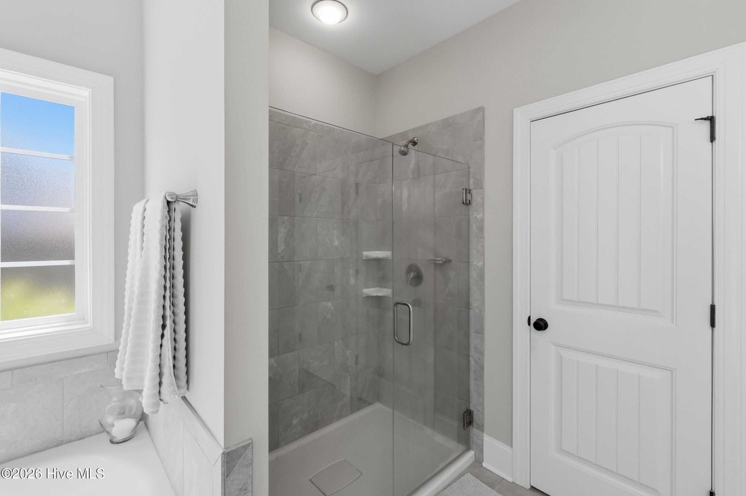 100570242 | Photo 24