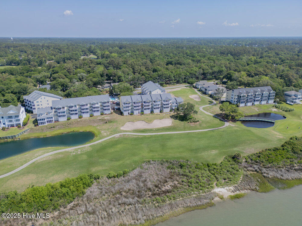 100562855 | Photo 41