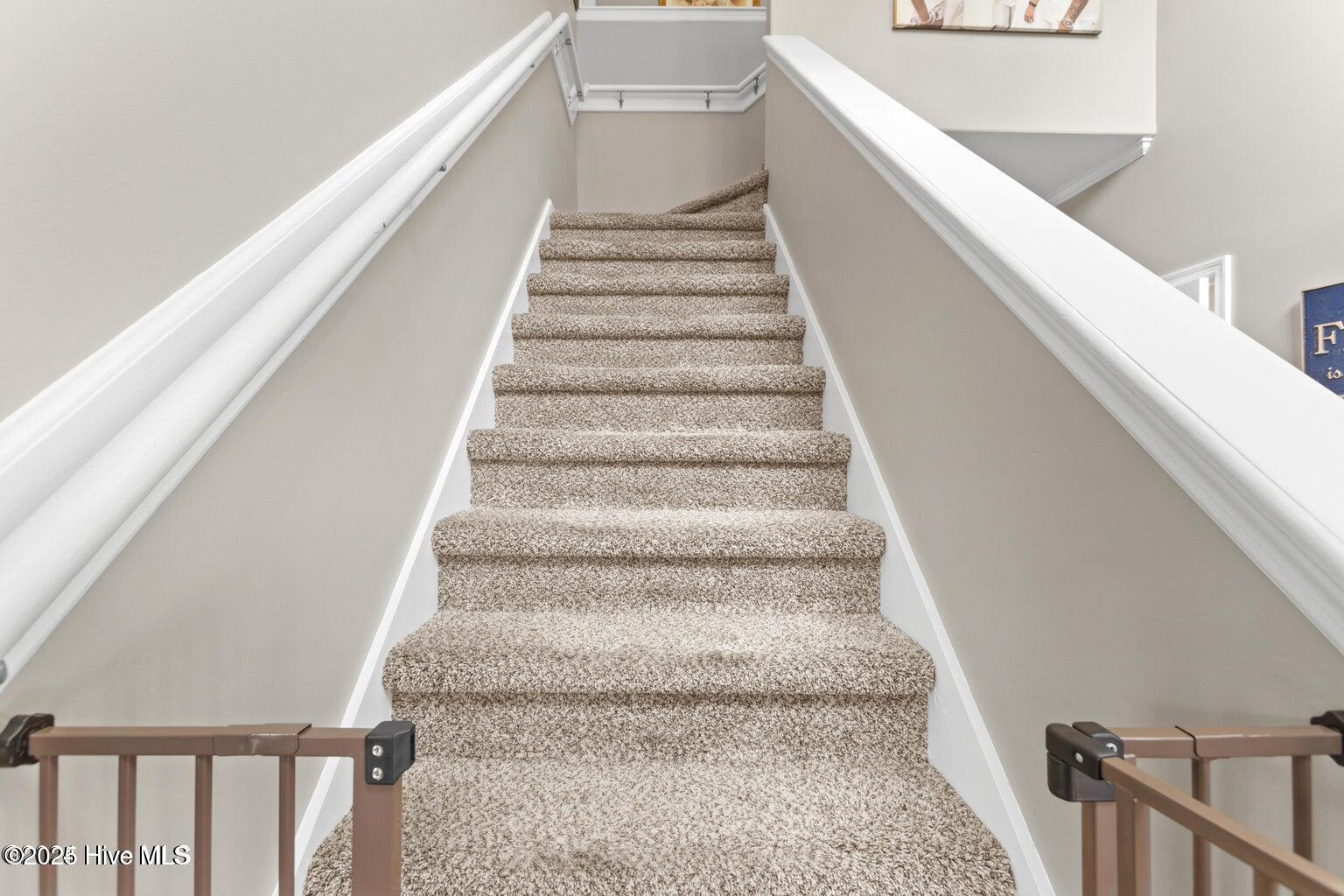 100540858 | Photo 16