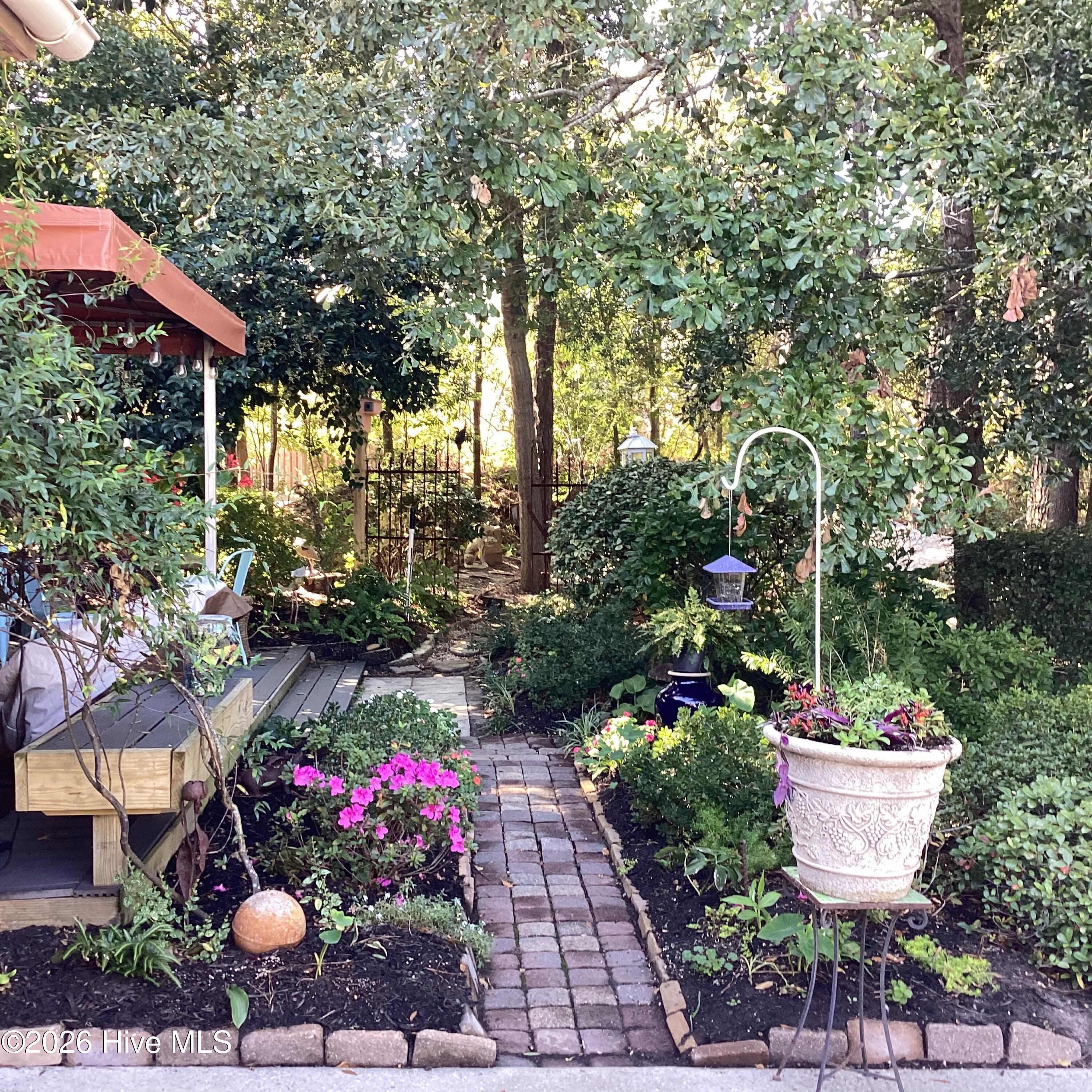 100559415 | Photo 85