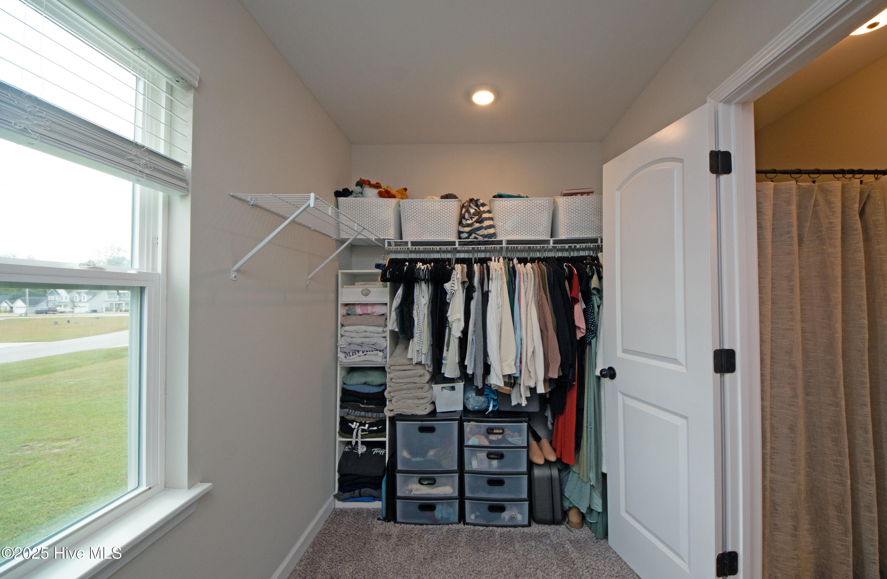 100539129 | Photo 19