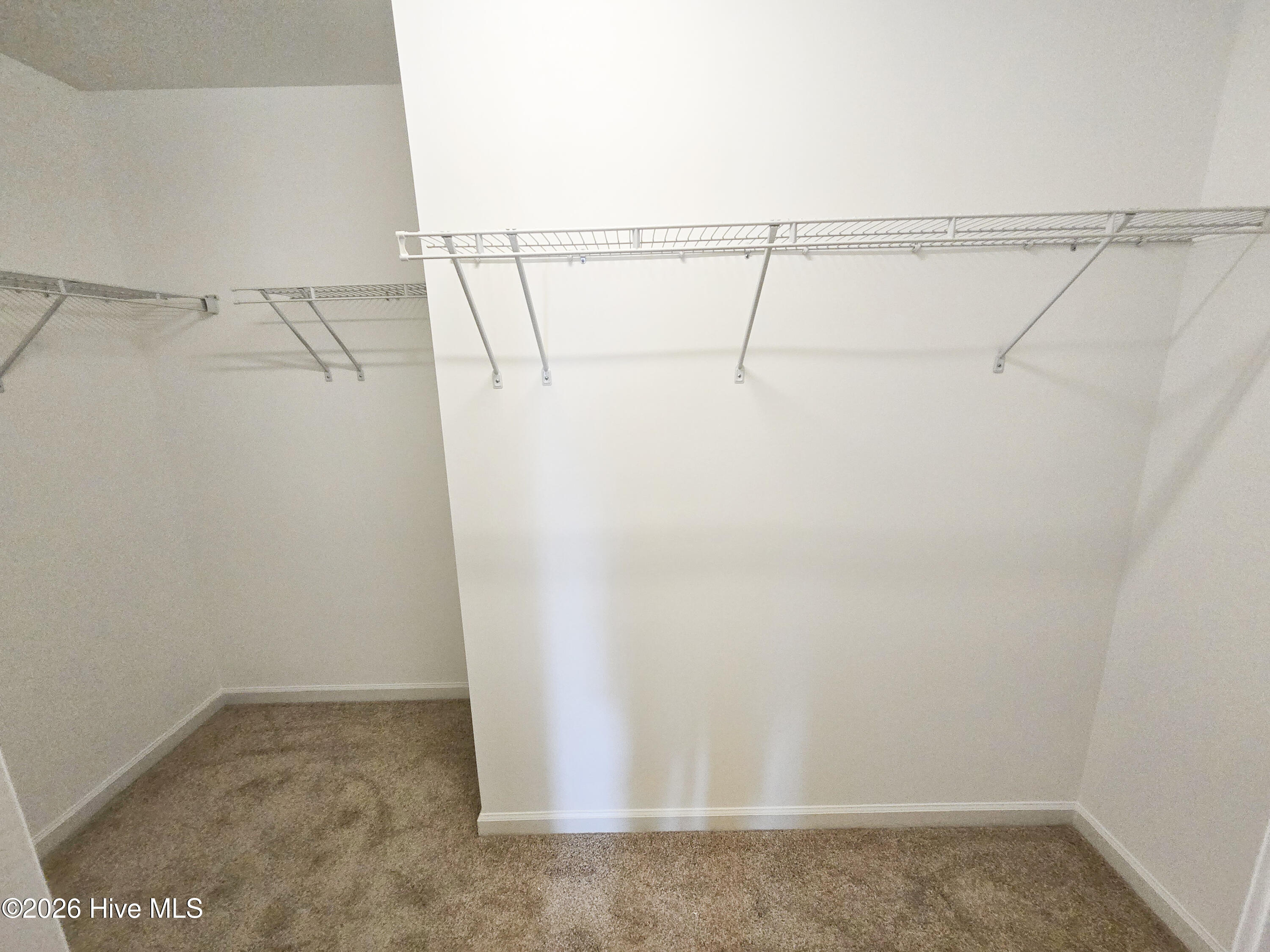 100557279 | Photo 17