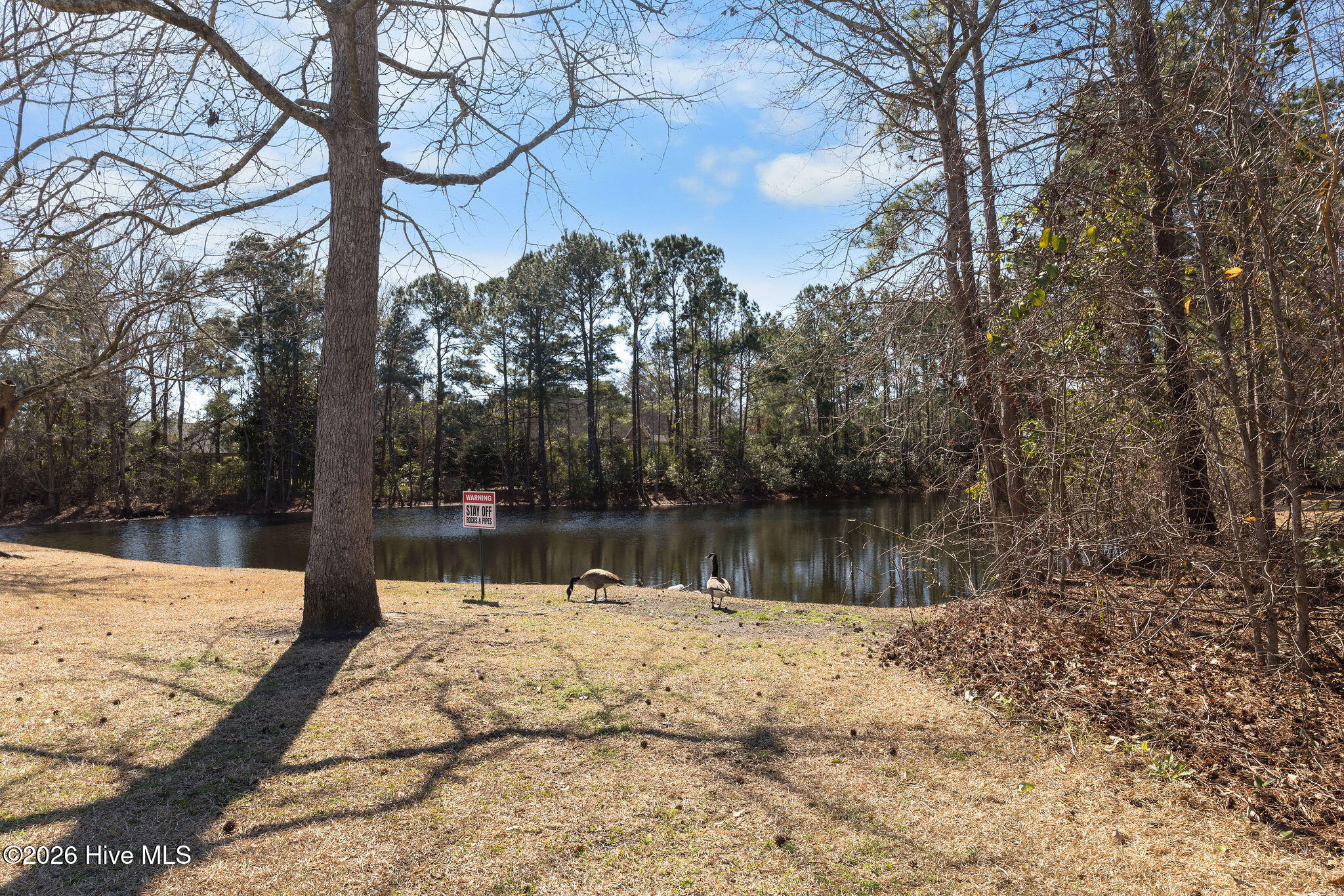 100556784 | Photo 56