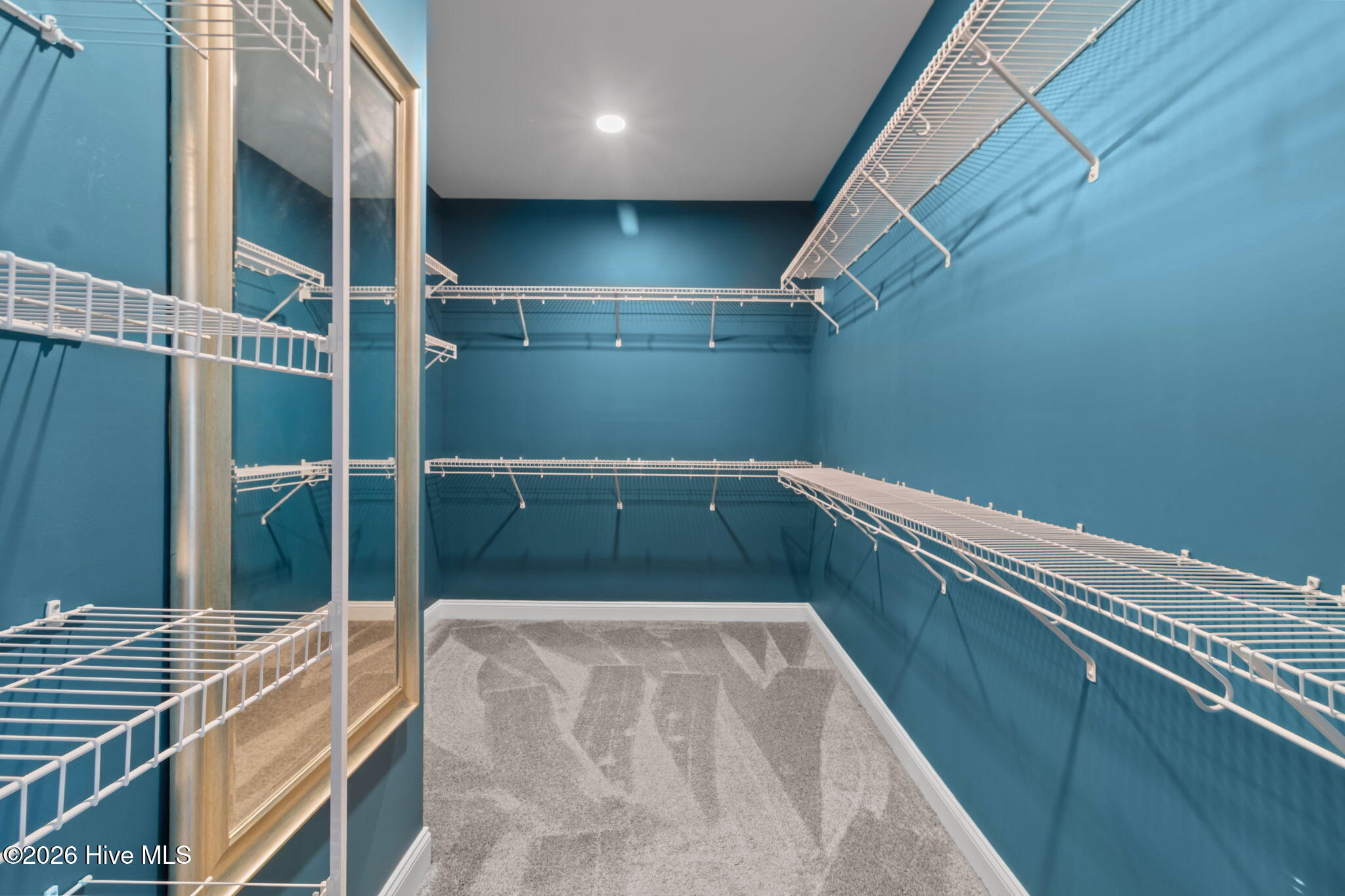 100560163 | Photo 22