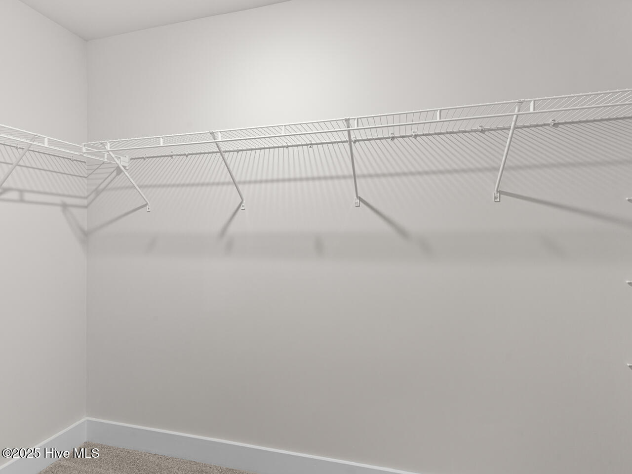 100537145 | Photo 31