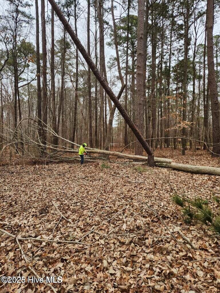 Homes for sale in Hertford, NC | 146 Tranquility Ln, Hertford, NC 27944 | MLS# 100543590