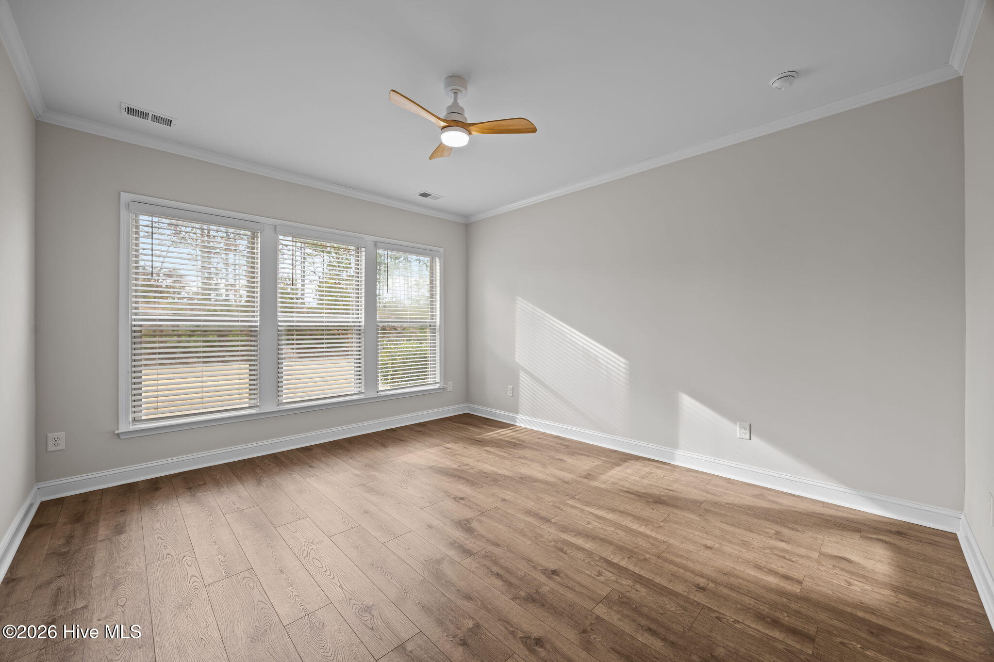 100551167 | Photo 19