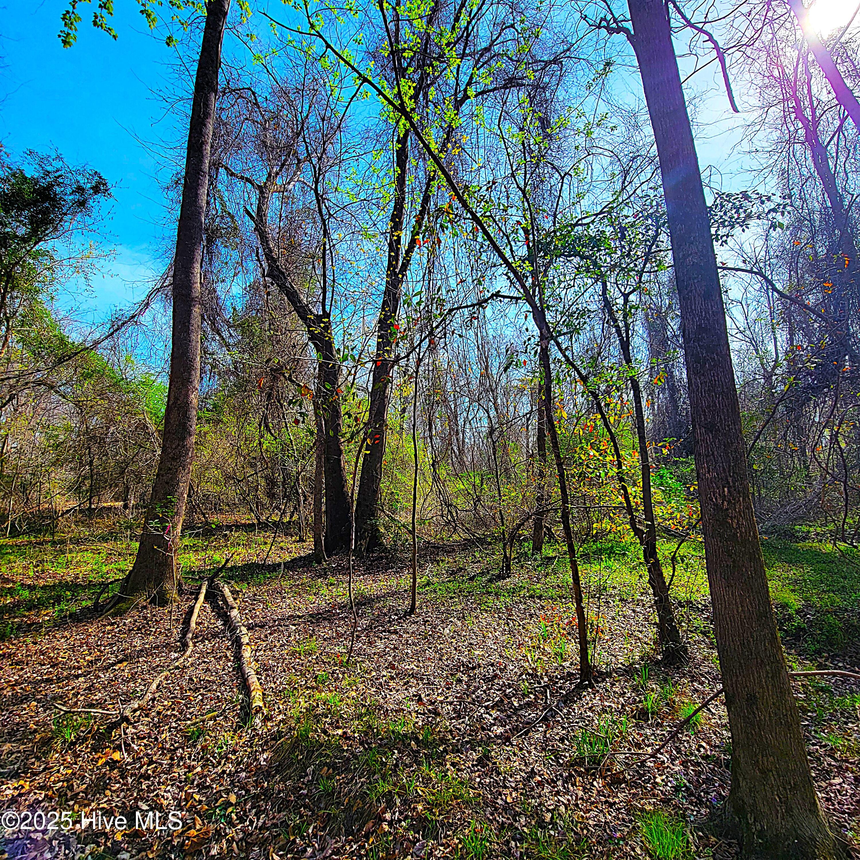 100496184 | Photo 24