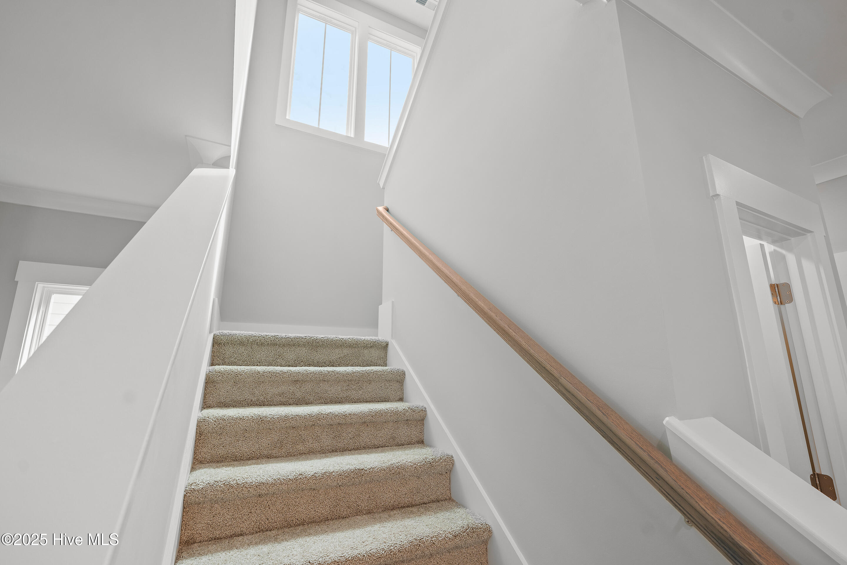 100506457 | Photo 33