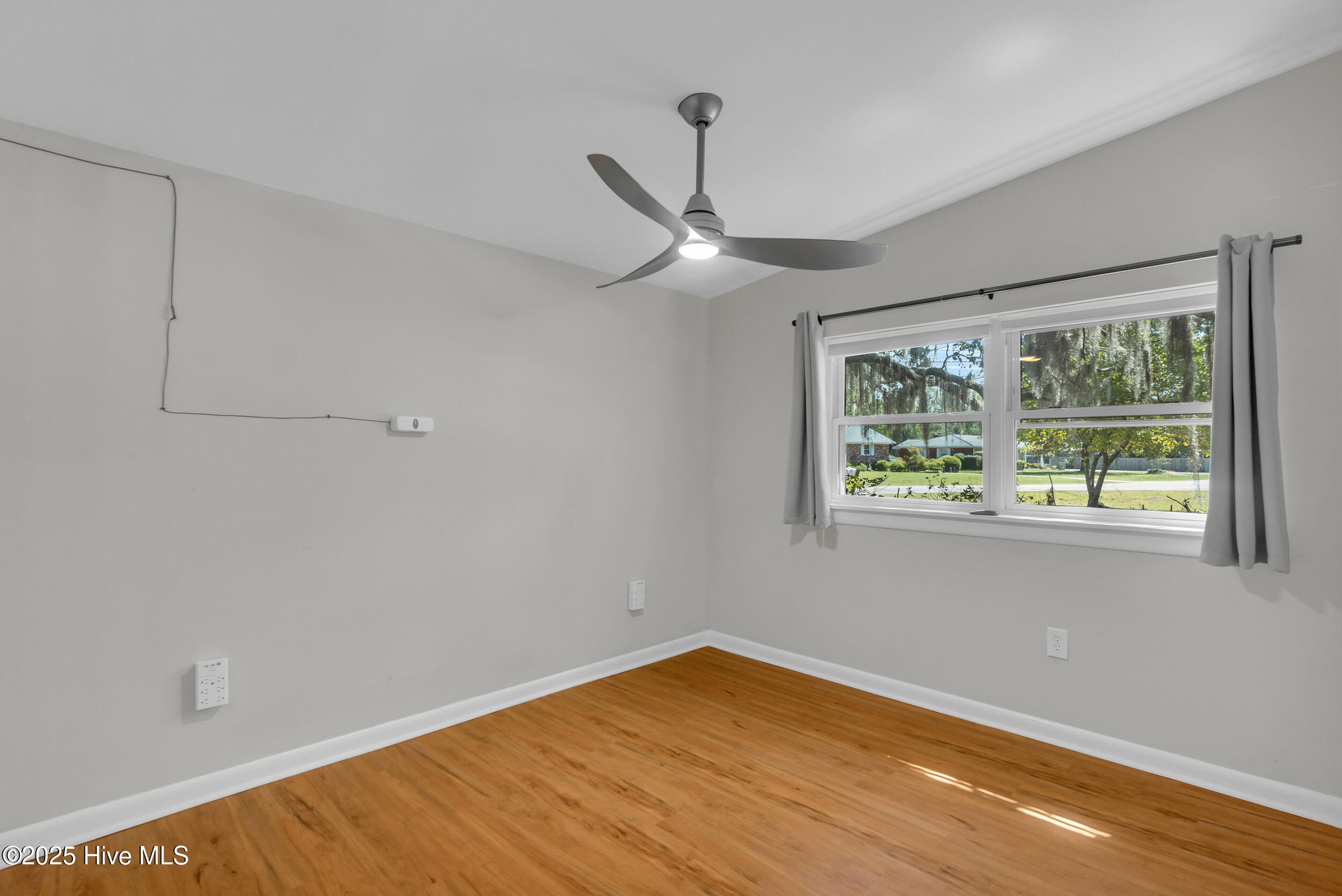 100532133 | Photo 36