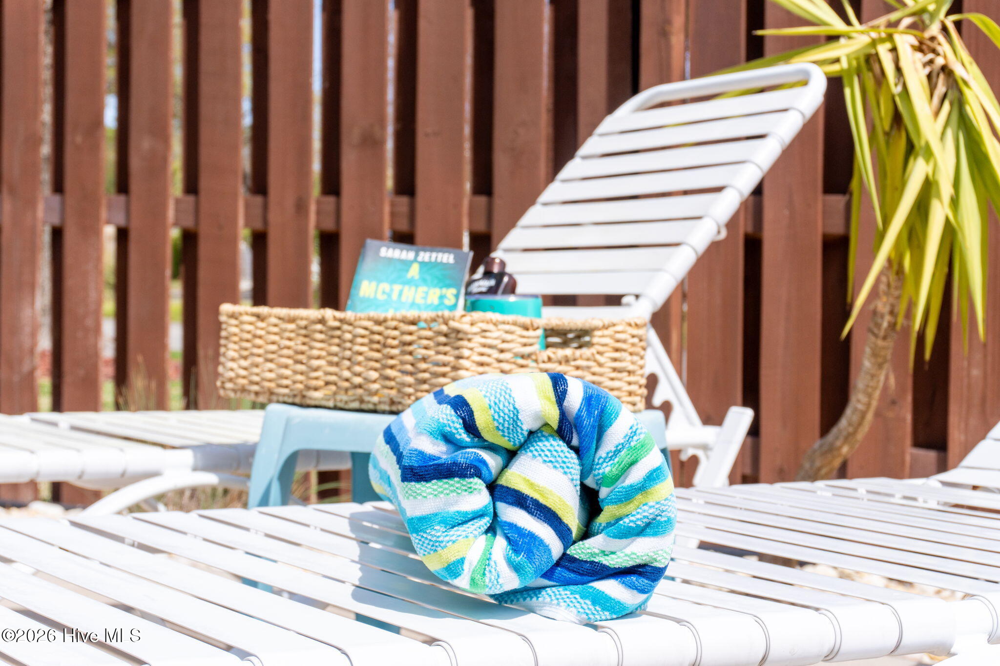 100562589 | Photo 70