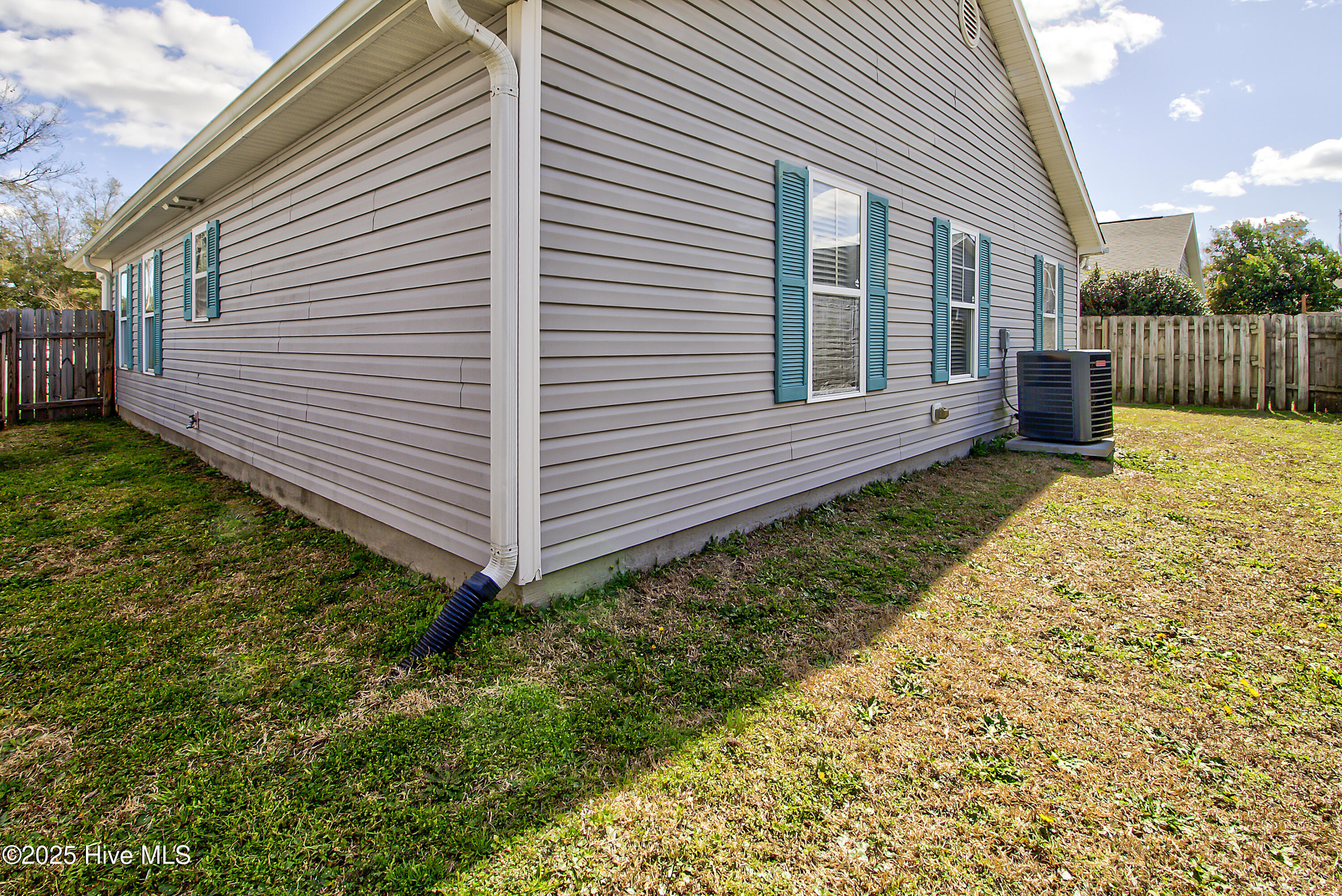 100554804 | Photo 30