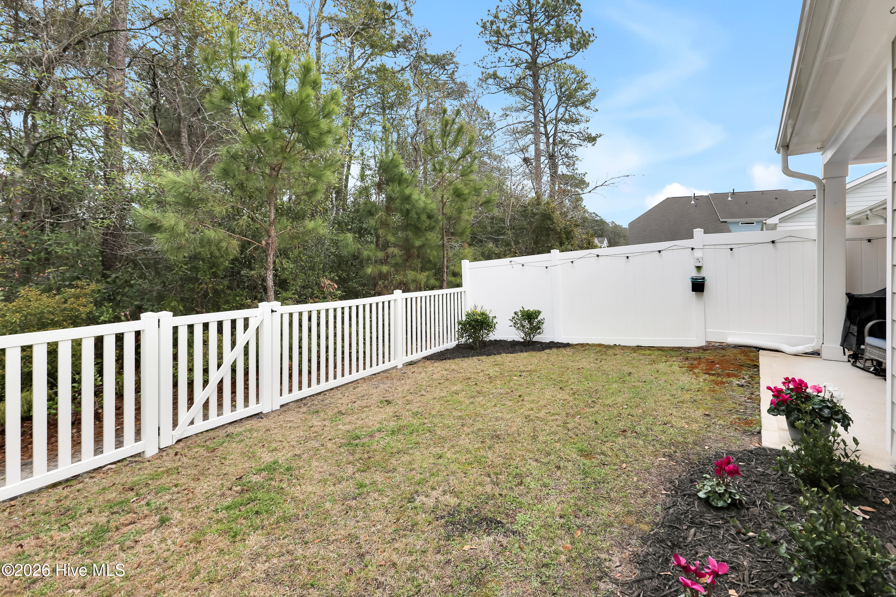 100557185 | Photo 32