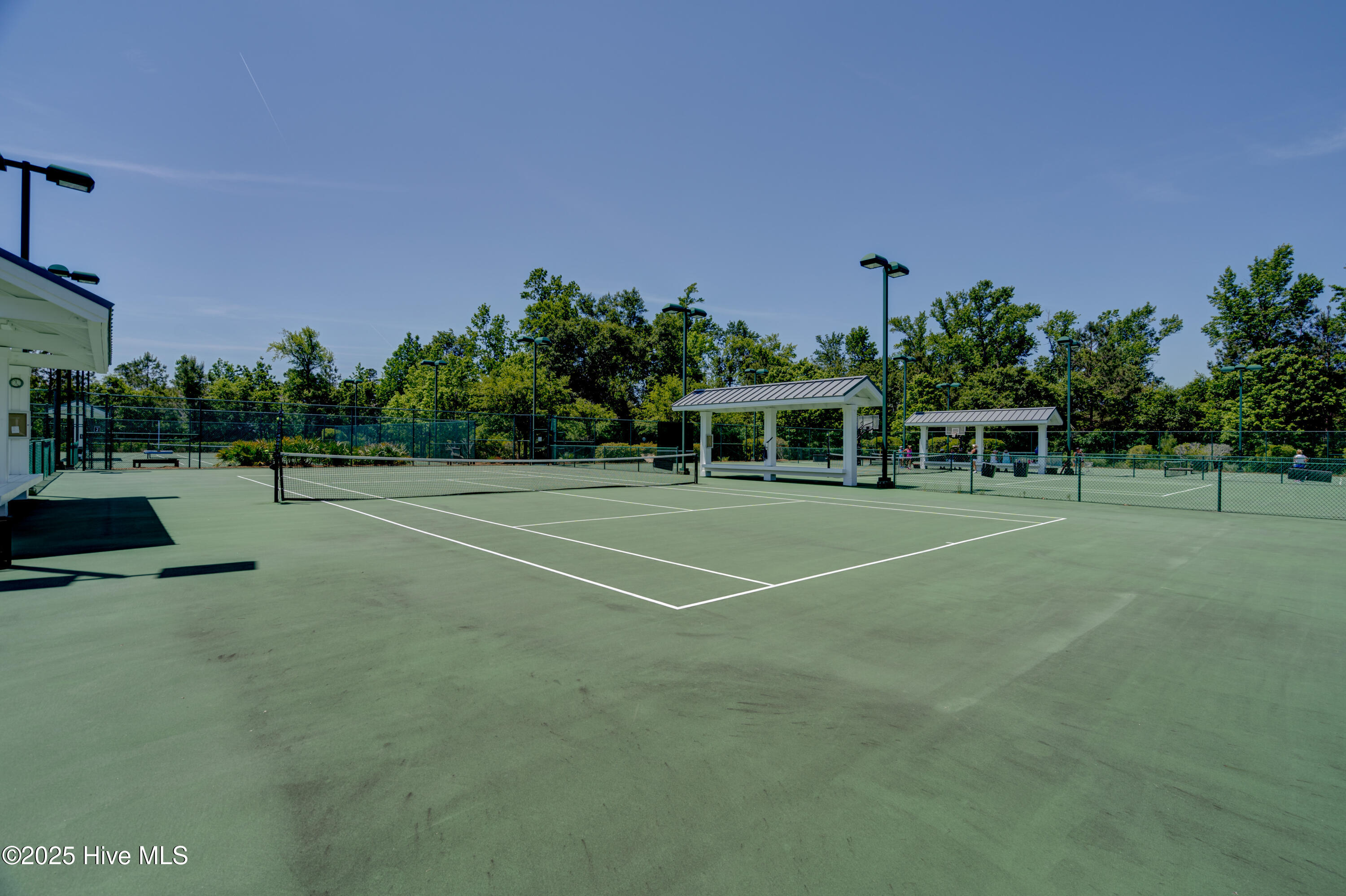 100547164 | Photo 75