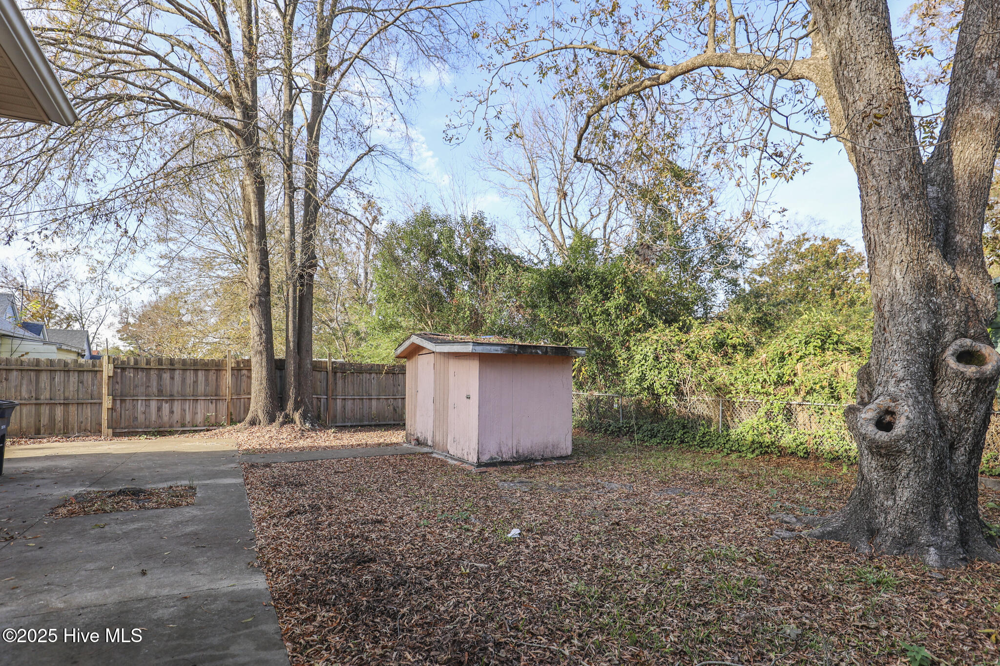 100542091 | Photo 41