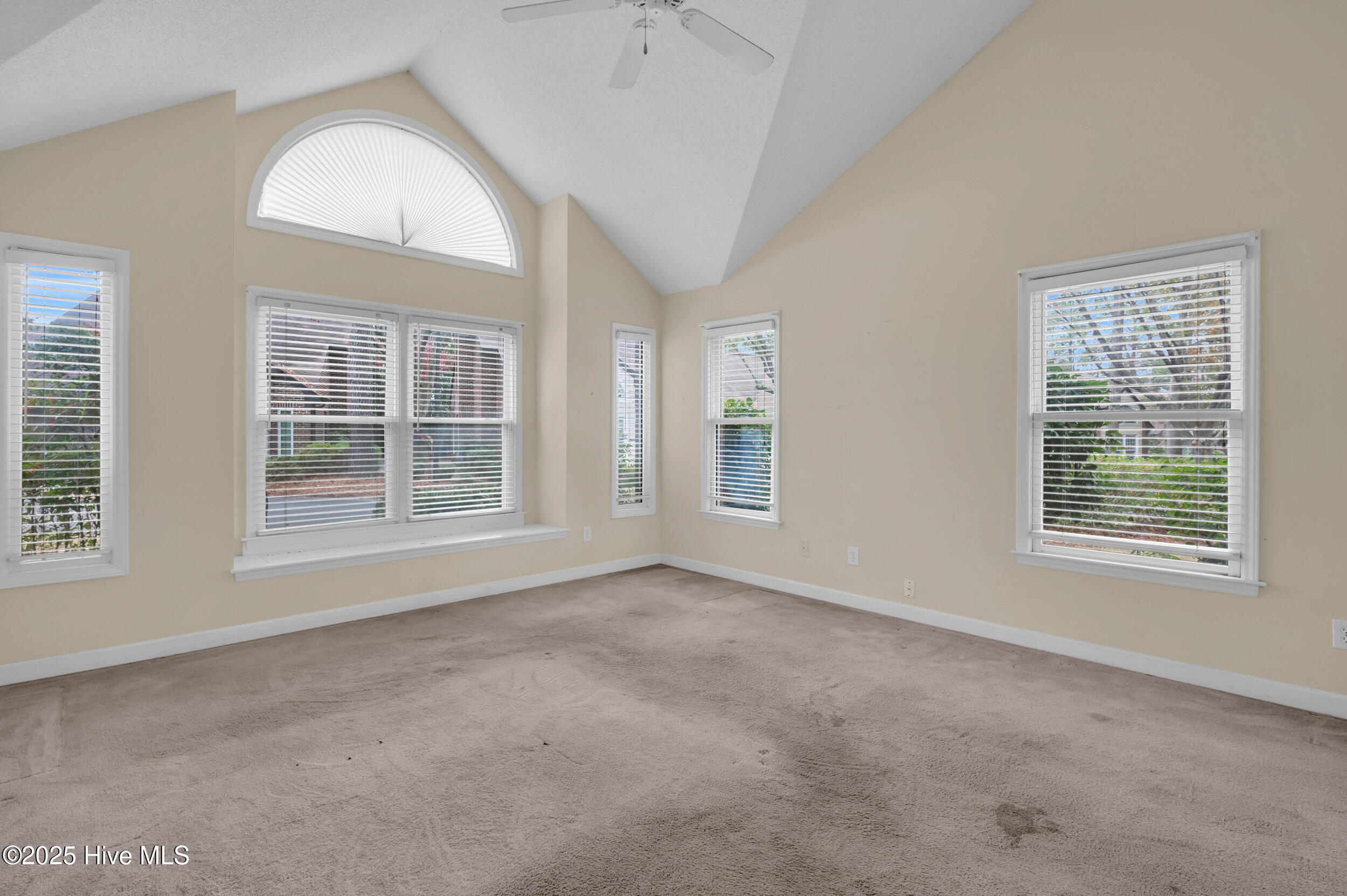 100546535 | Photo 21