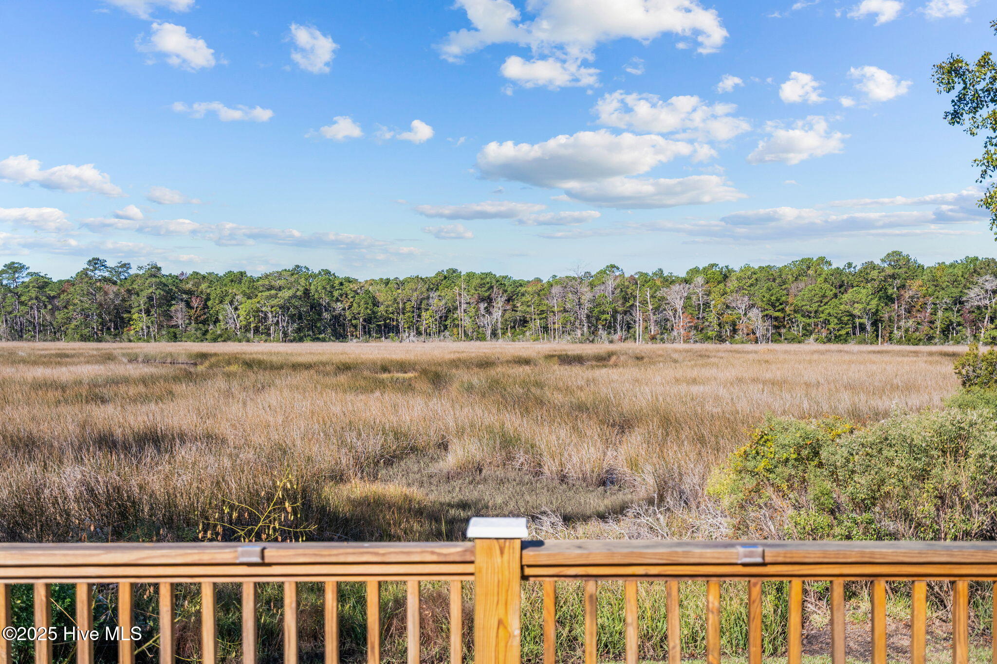 100538027 | Photo 40