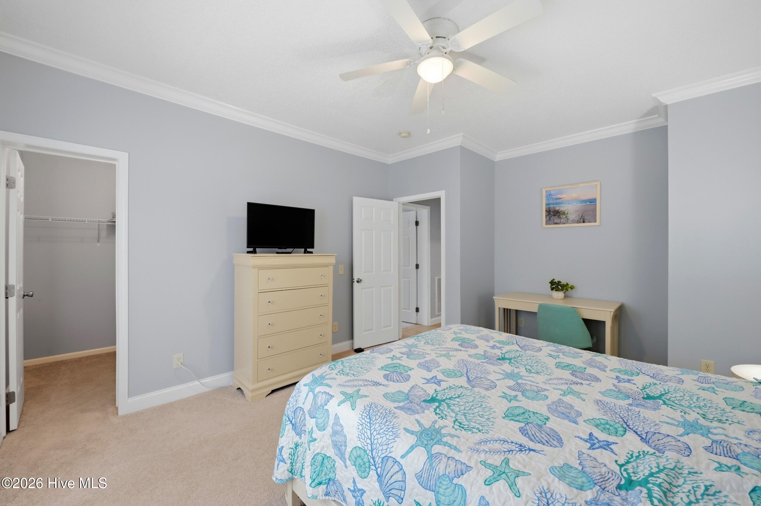 100557500 | Photo 31