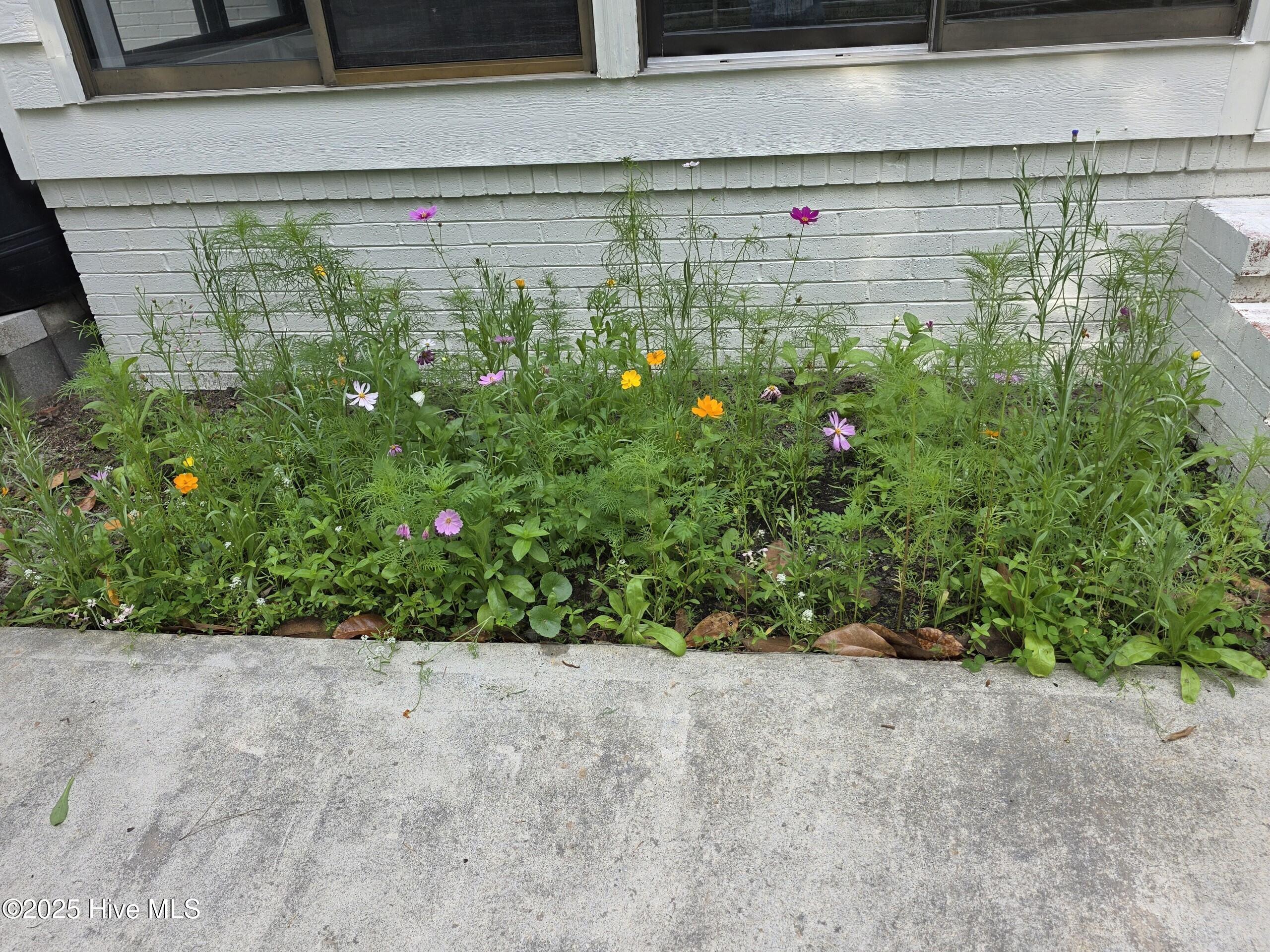 100500123 | Photo 41