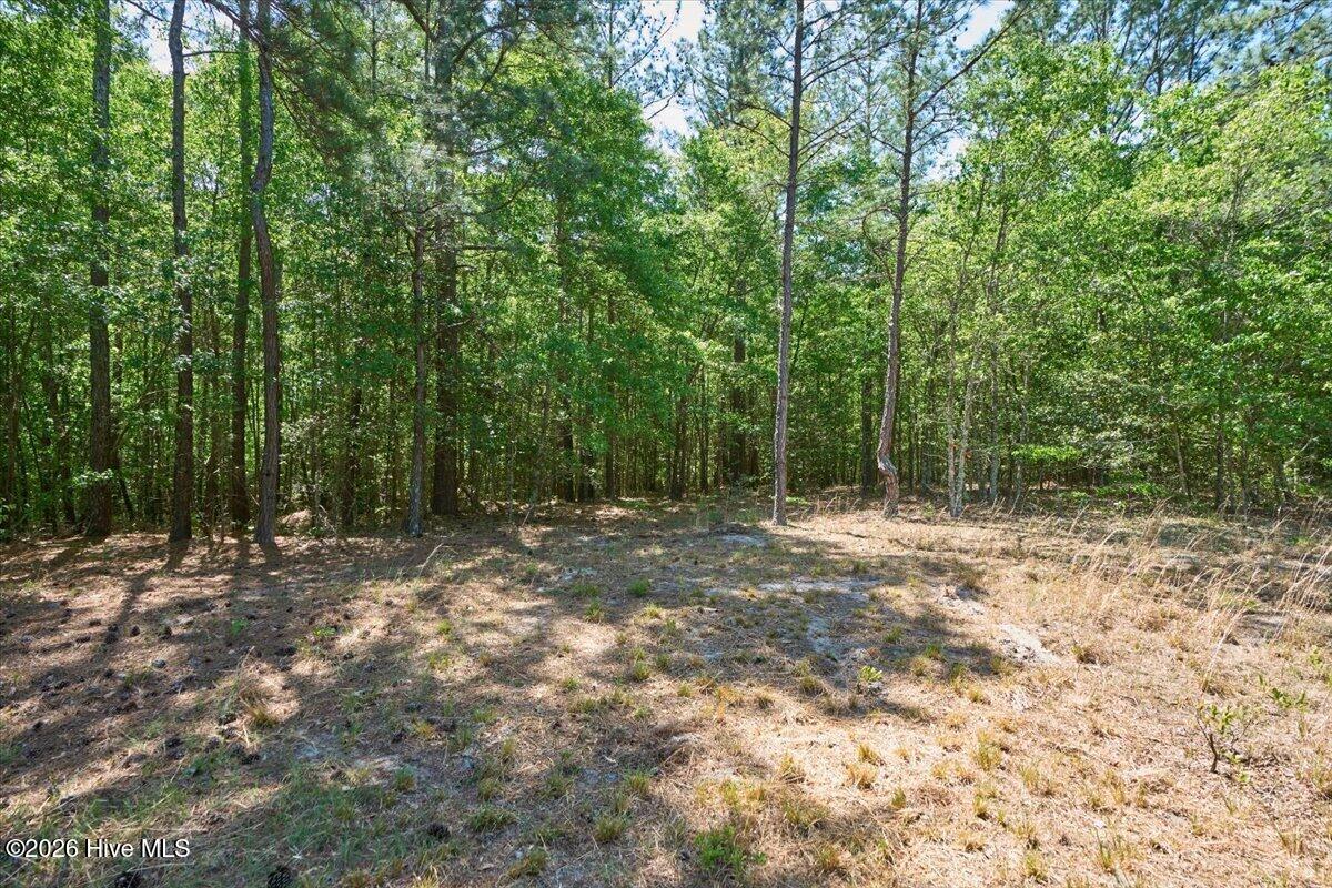 510 Carys Lane, West End, NC, 27376