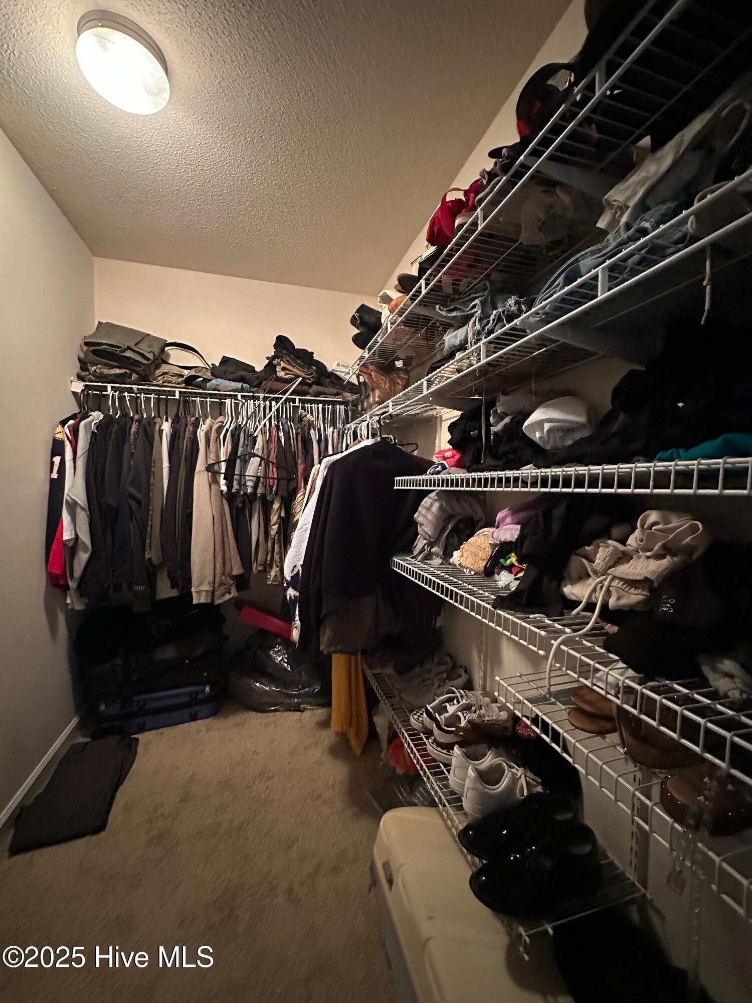 100545130 | Photo 28