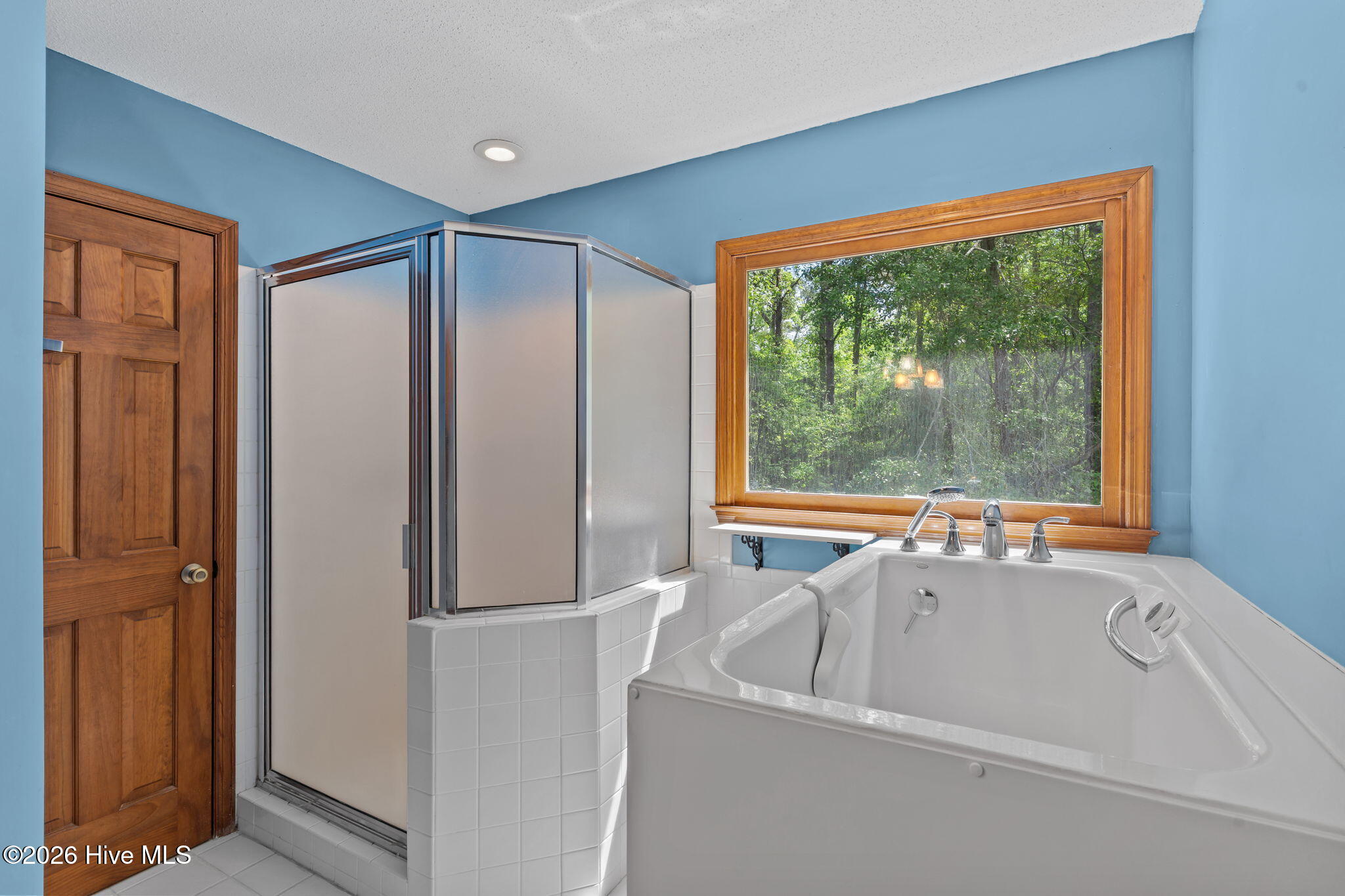 100568125 | Photo 28