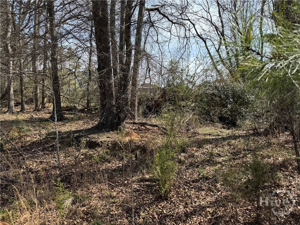 738 Old Mineral Springs Road, Elberton, GA, 30635