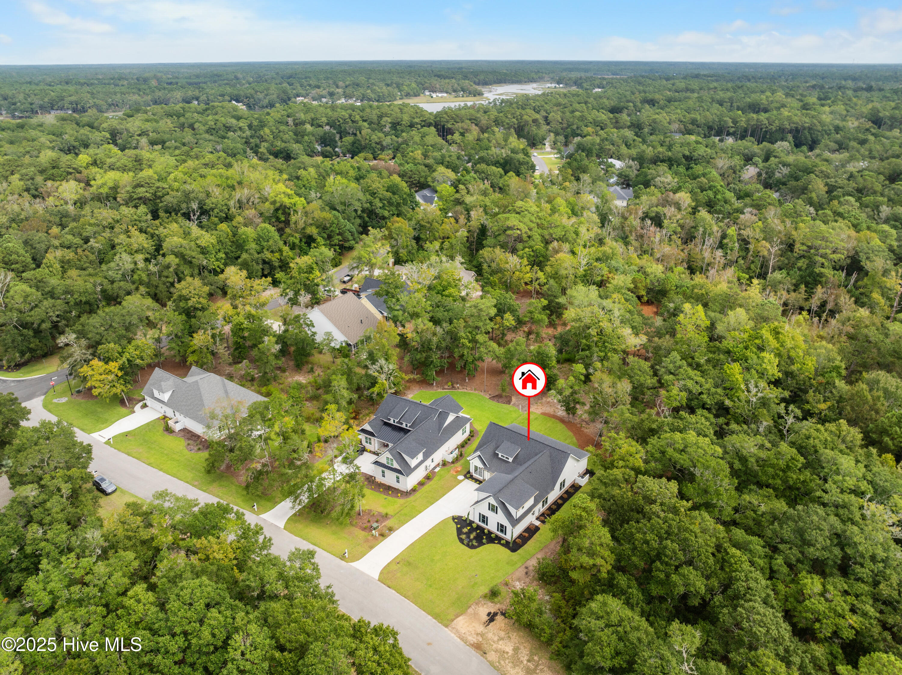 100485467 | Photo 69