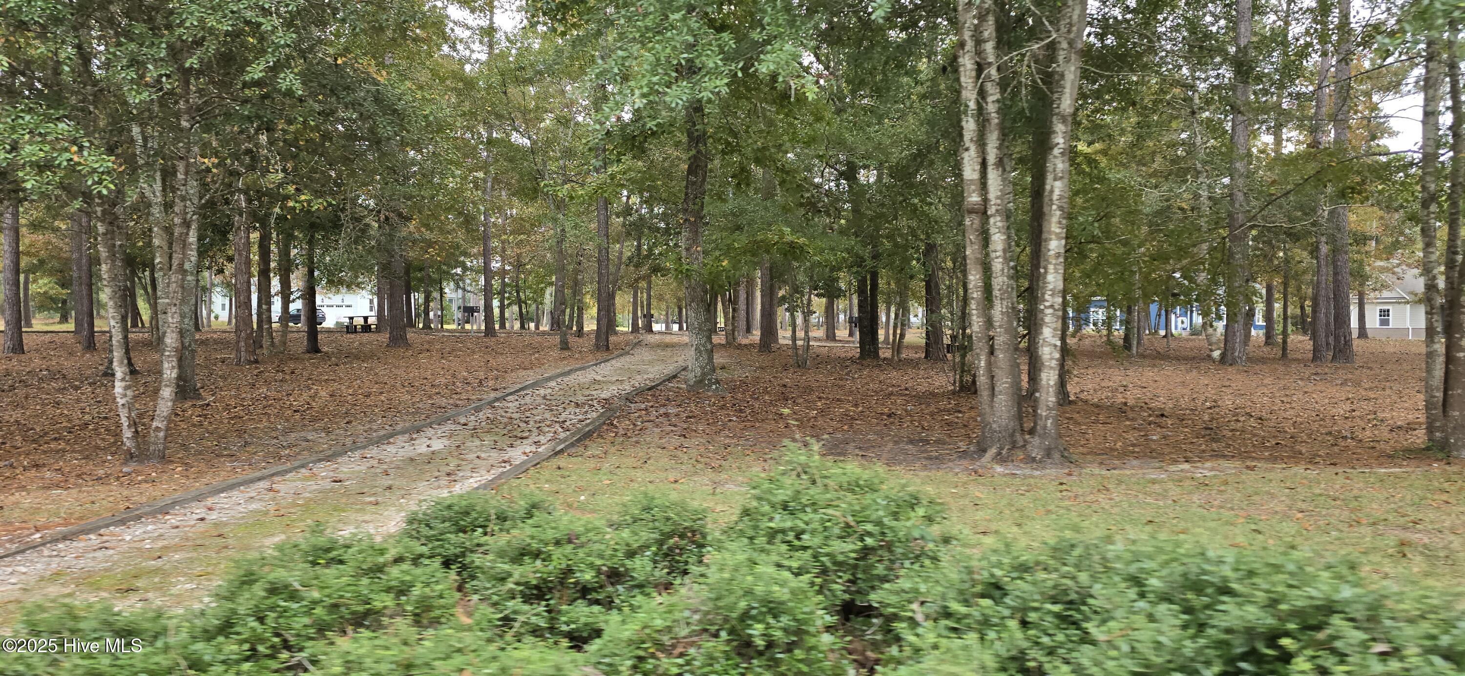 100522930 | Photo 18