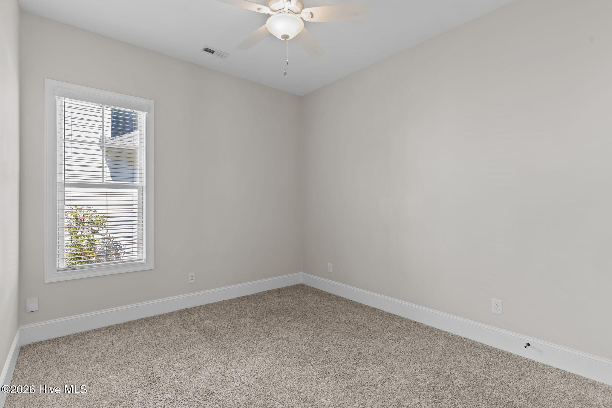 100568555 | Photo 24