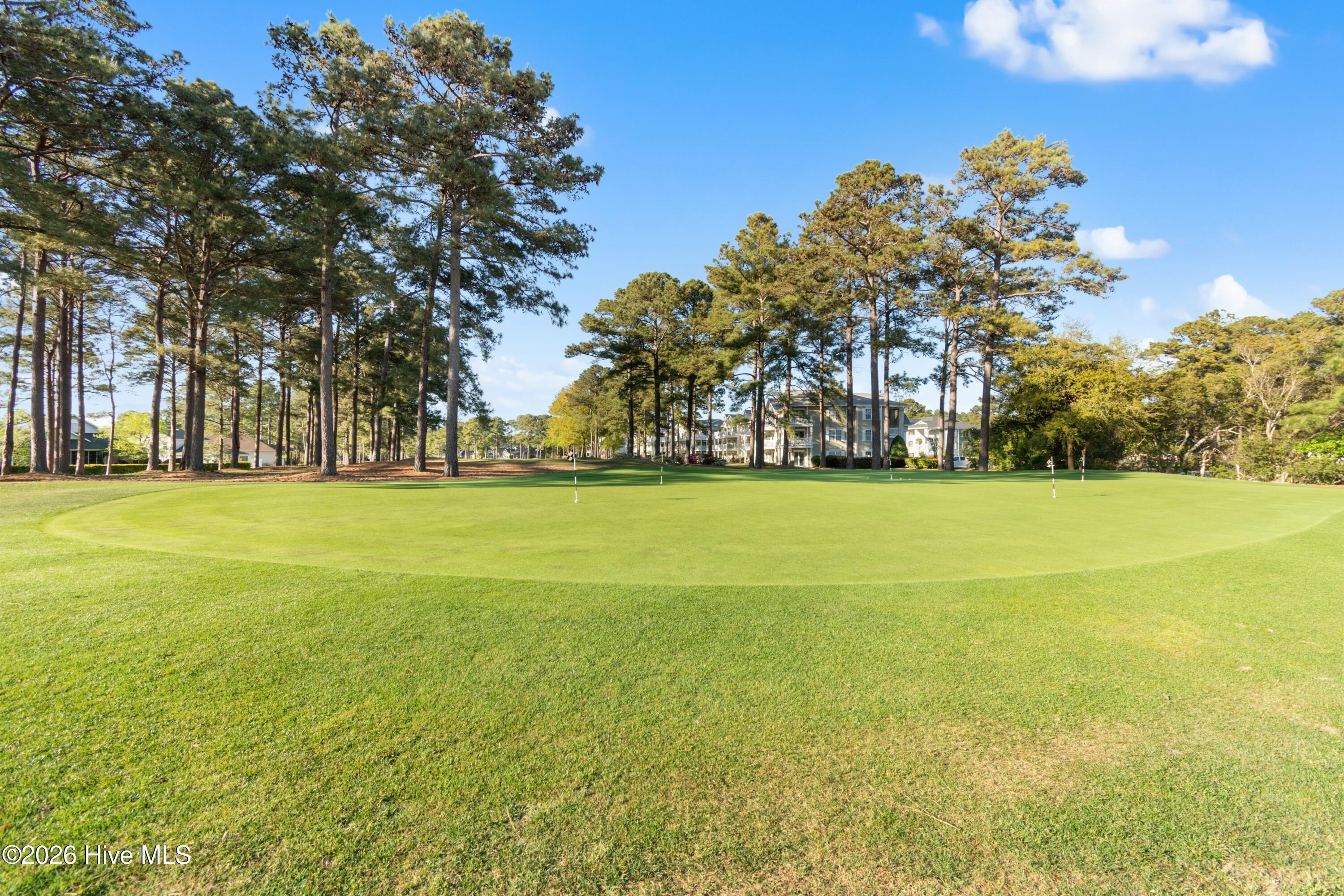 100564906 | Photo 43