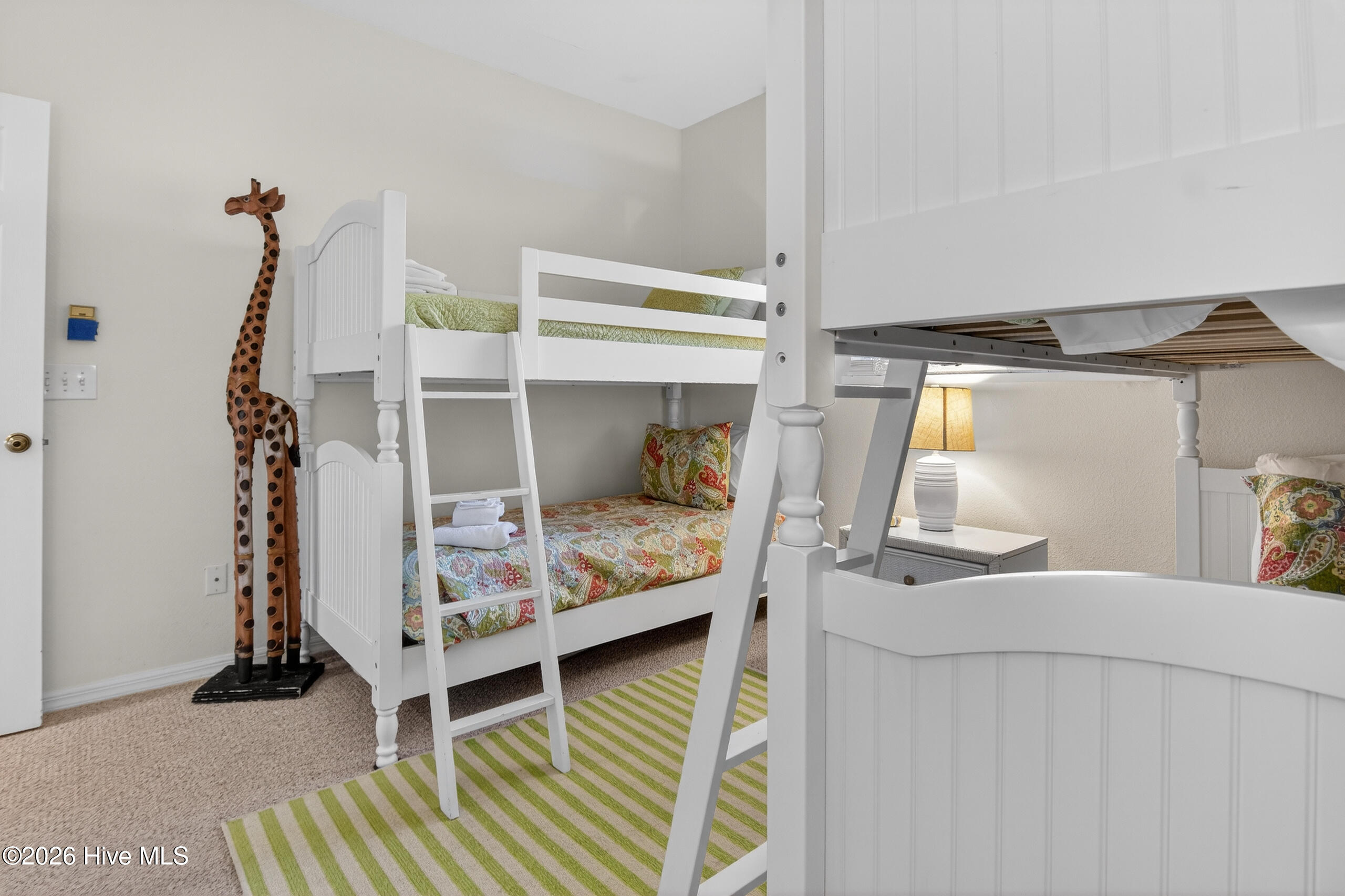 100565209 | Photo 30