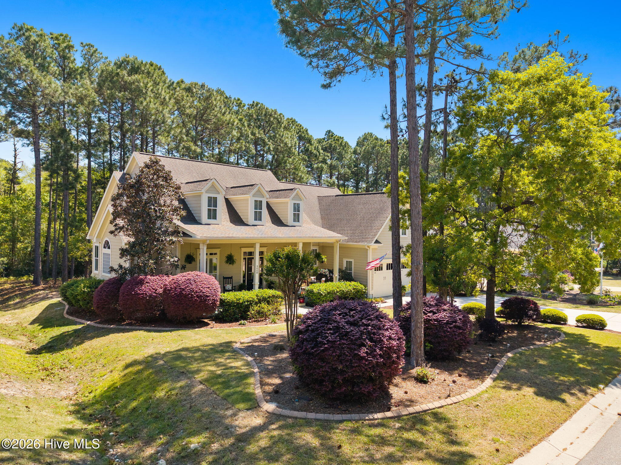 100567899 | Photo 10