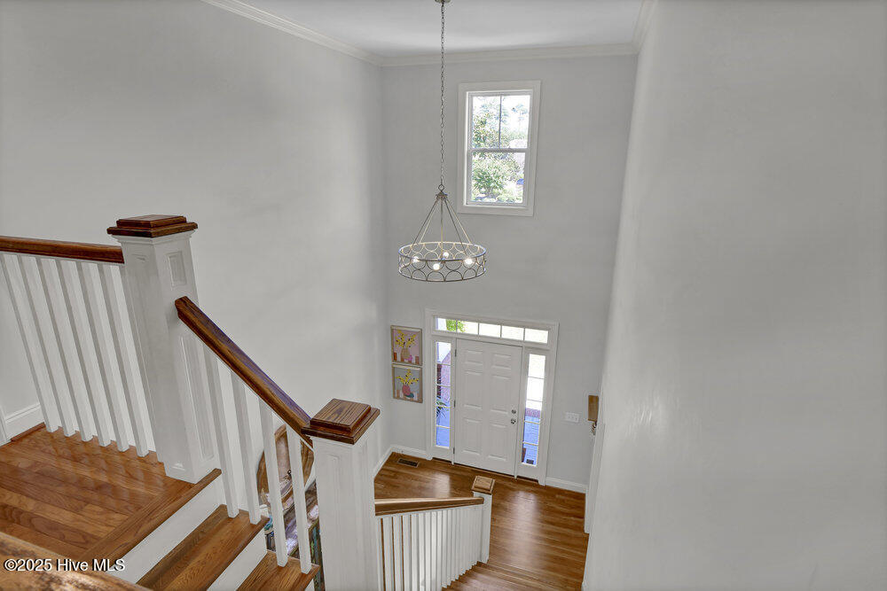 100531667 | Photo 30