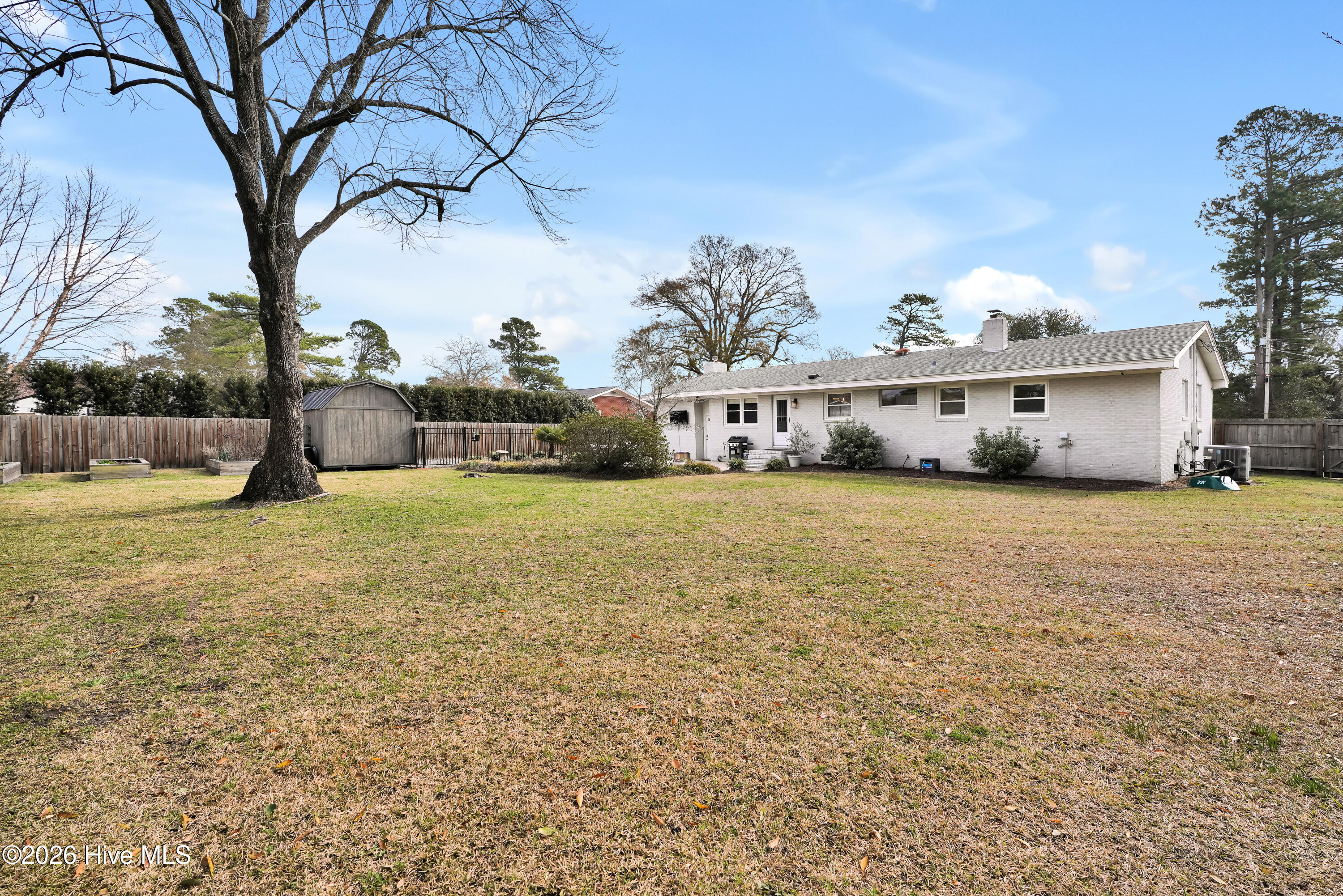 100557900 | Photo 33