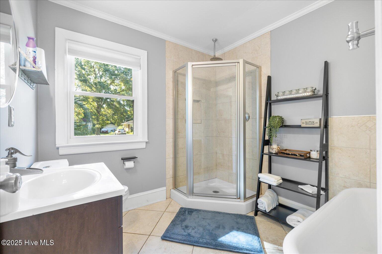 100528295 | Photo 23