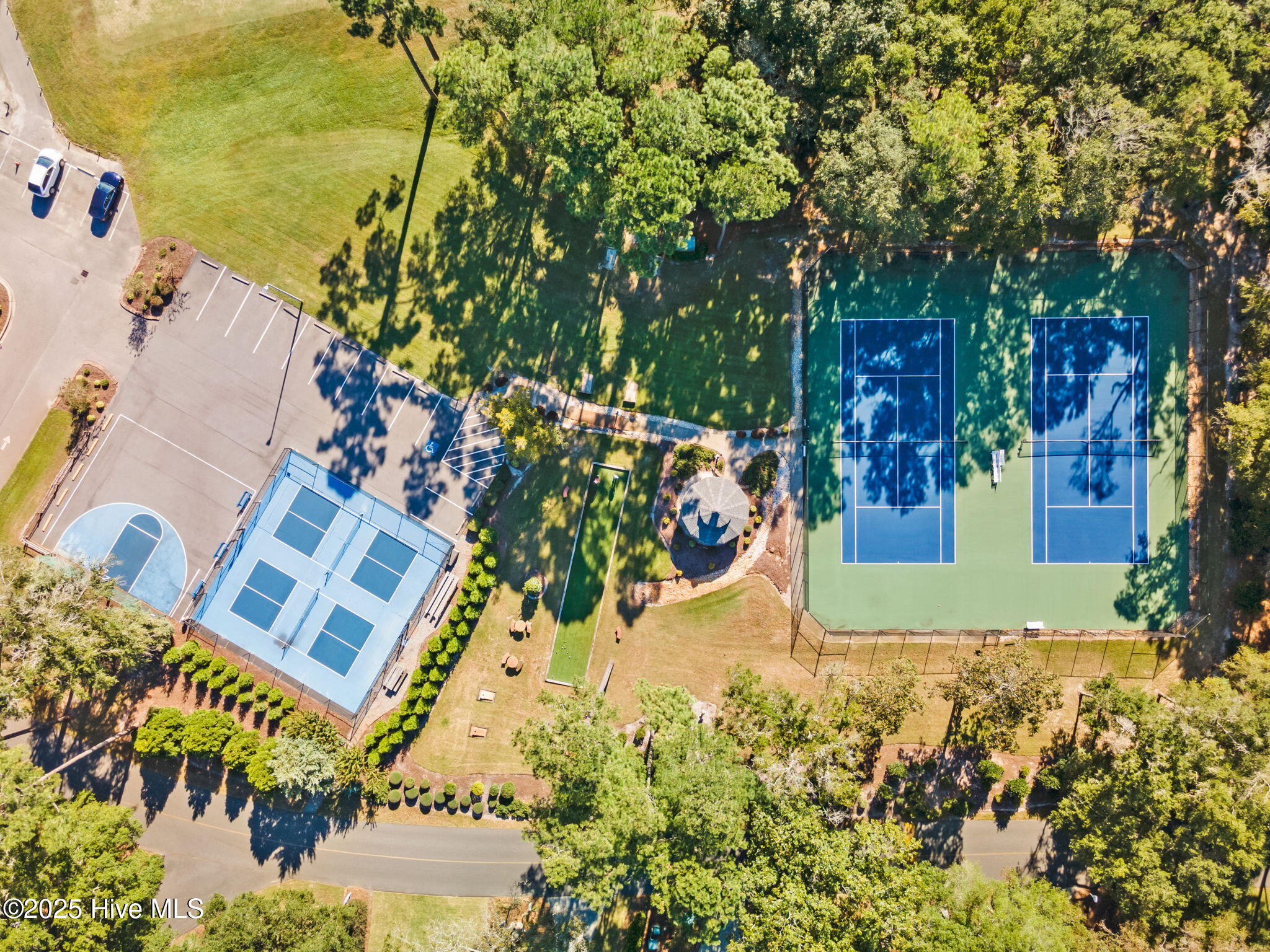 100537581 | Photo 18