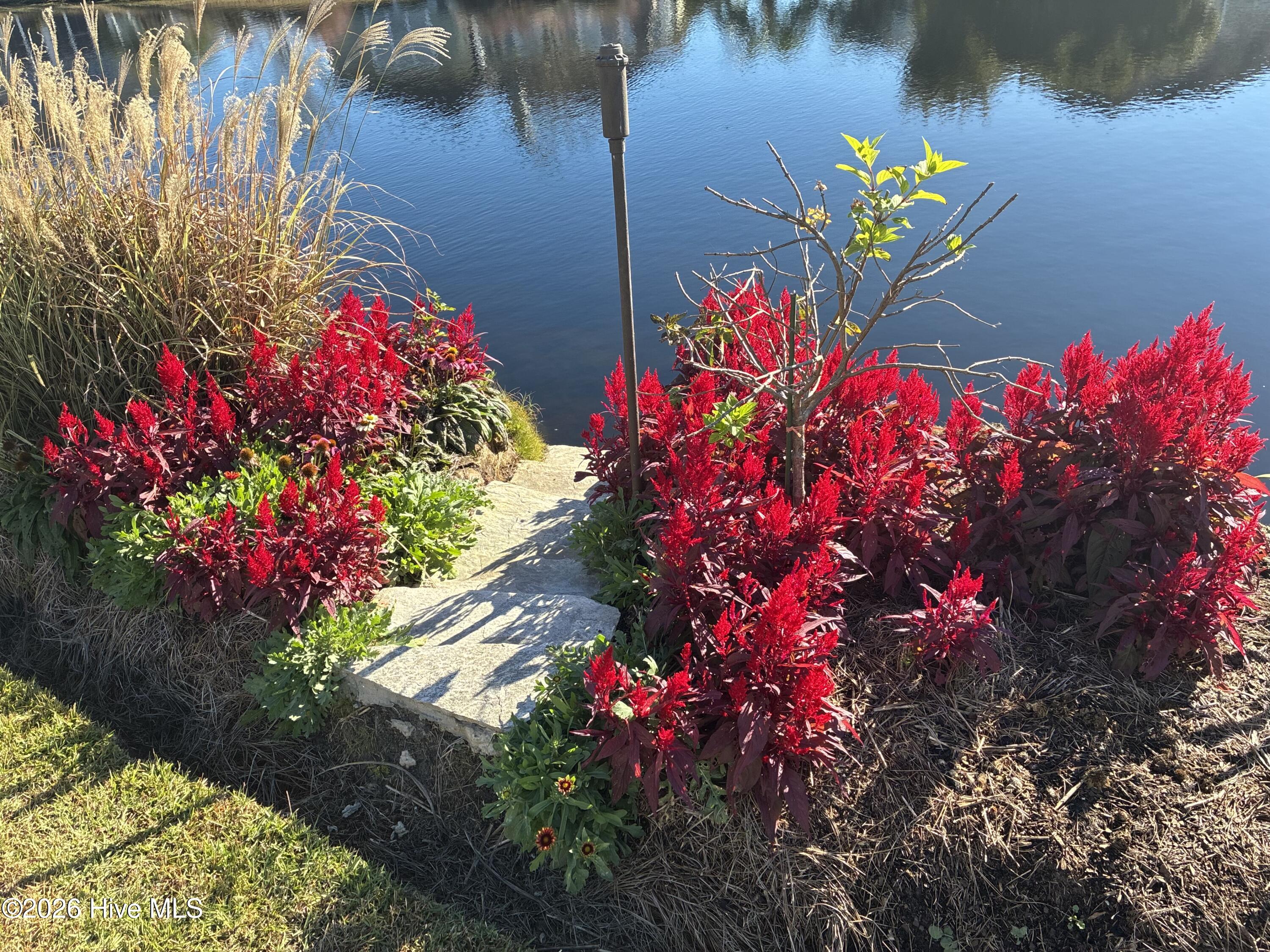 100560288 | Photo 70