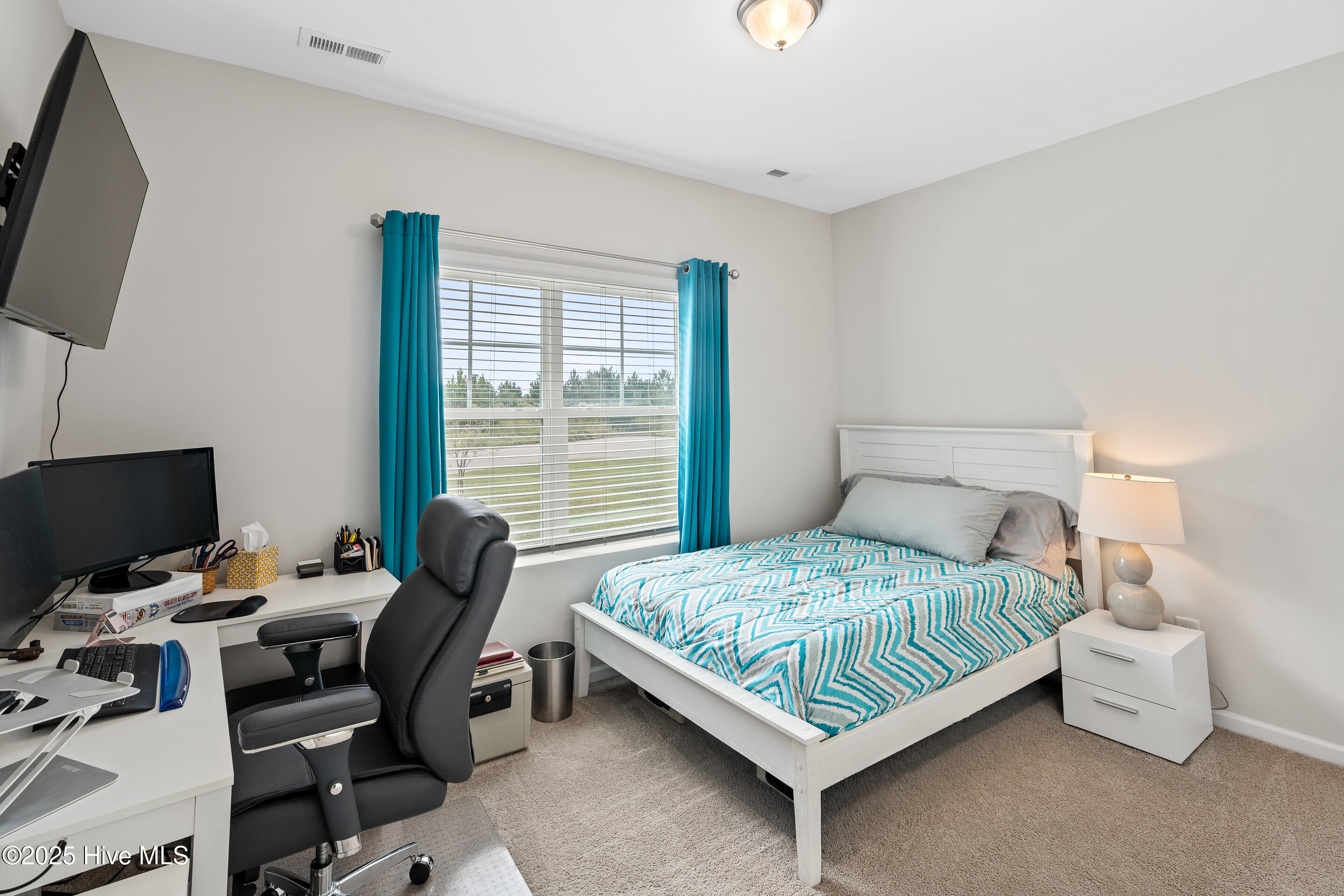 100535535 | Photo 15